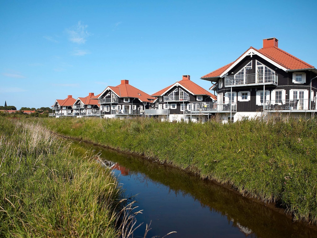 A row of architect-designed holiday homes is positioned alongside a gentle waterway, set against a clear blue sky. Each house features a distinct black facade with white trim and red roofs, complemented by balconies that overlook the lush green grass in the foreground.