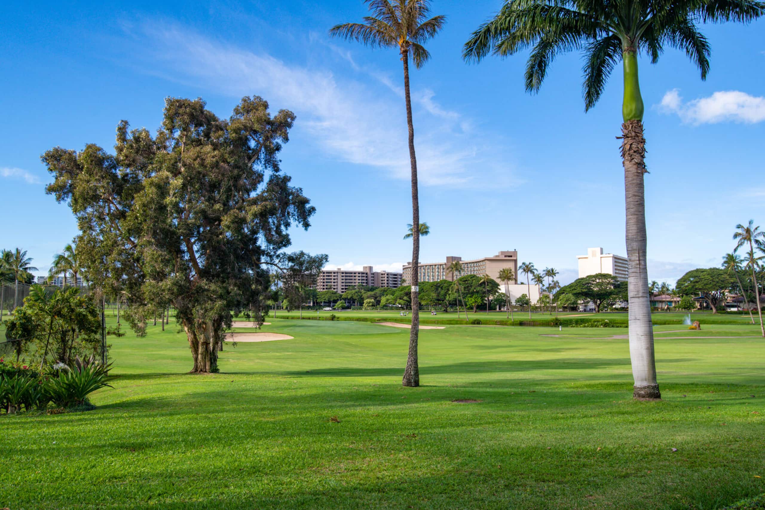 Condo in Lahaina · ★4.86 · 2 bedrooms · 3 beds · 2 private baths - Image 35