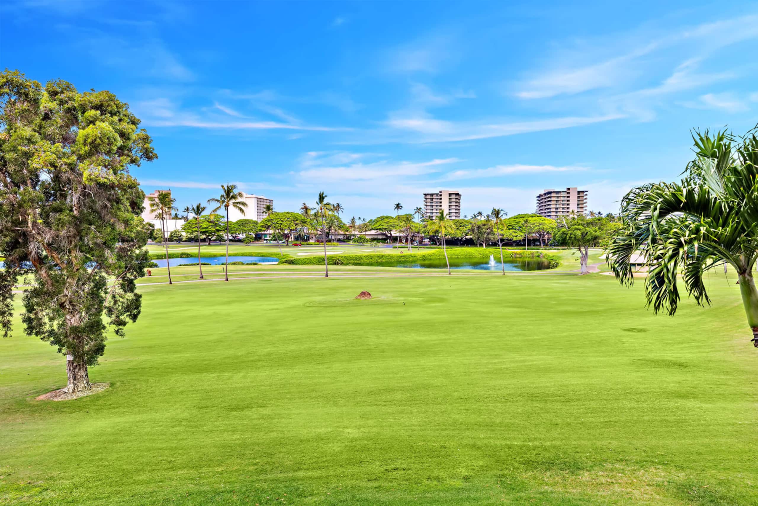 Condo in Lahaina · ★4.86 · 2 bedrooms · 3 beds · 2 private baths - Image 4