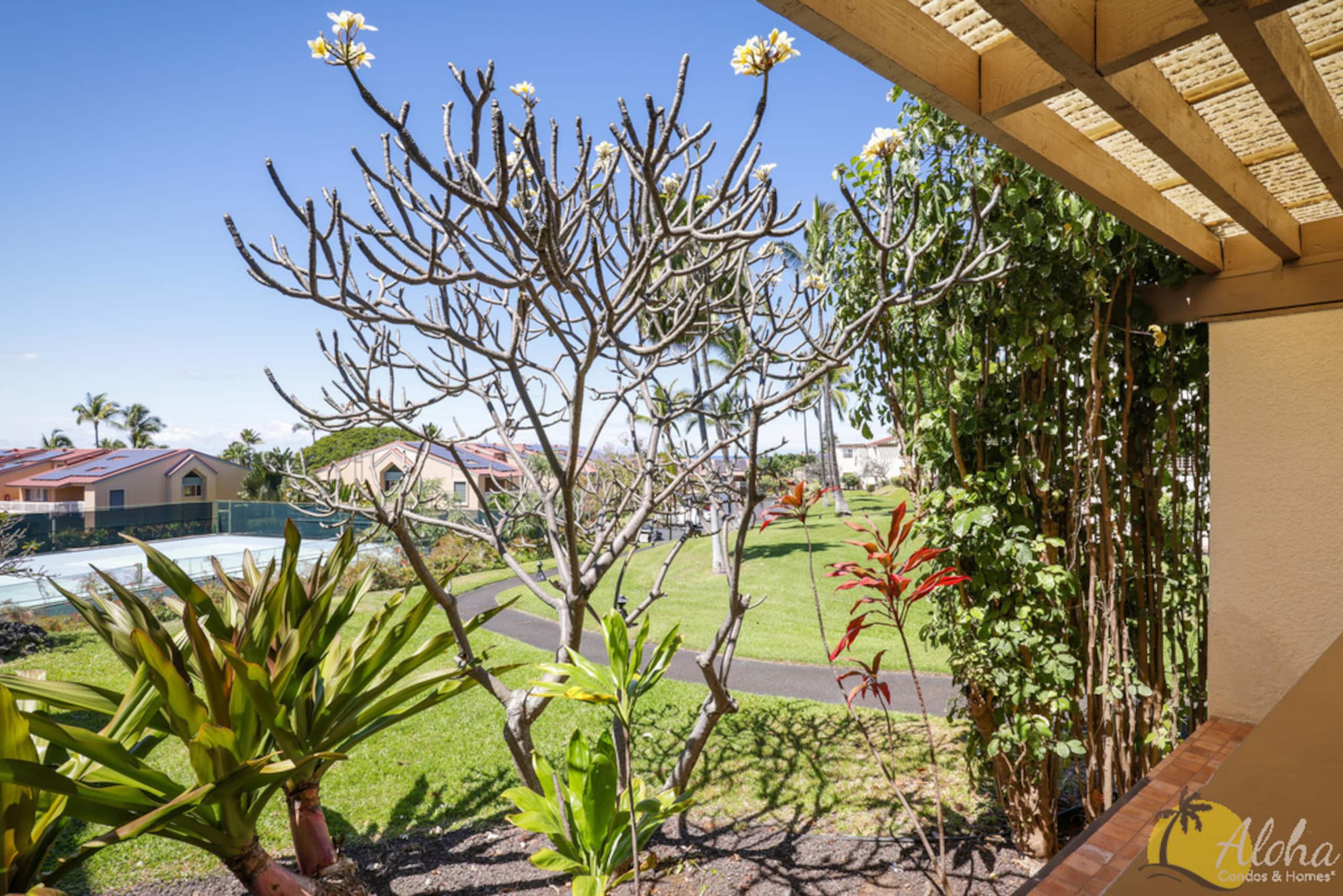 Kona Coast Resort Townhome 7-106 - Aloha Condos - Photo 30