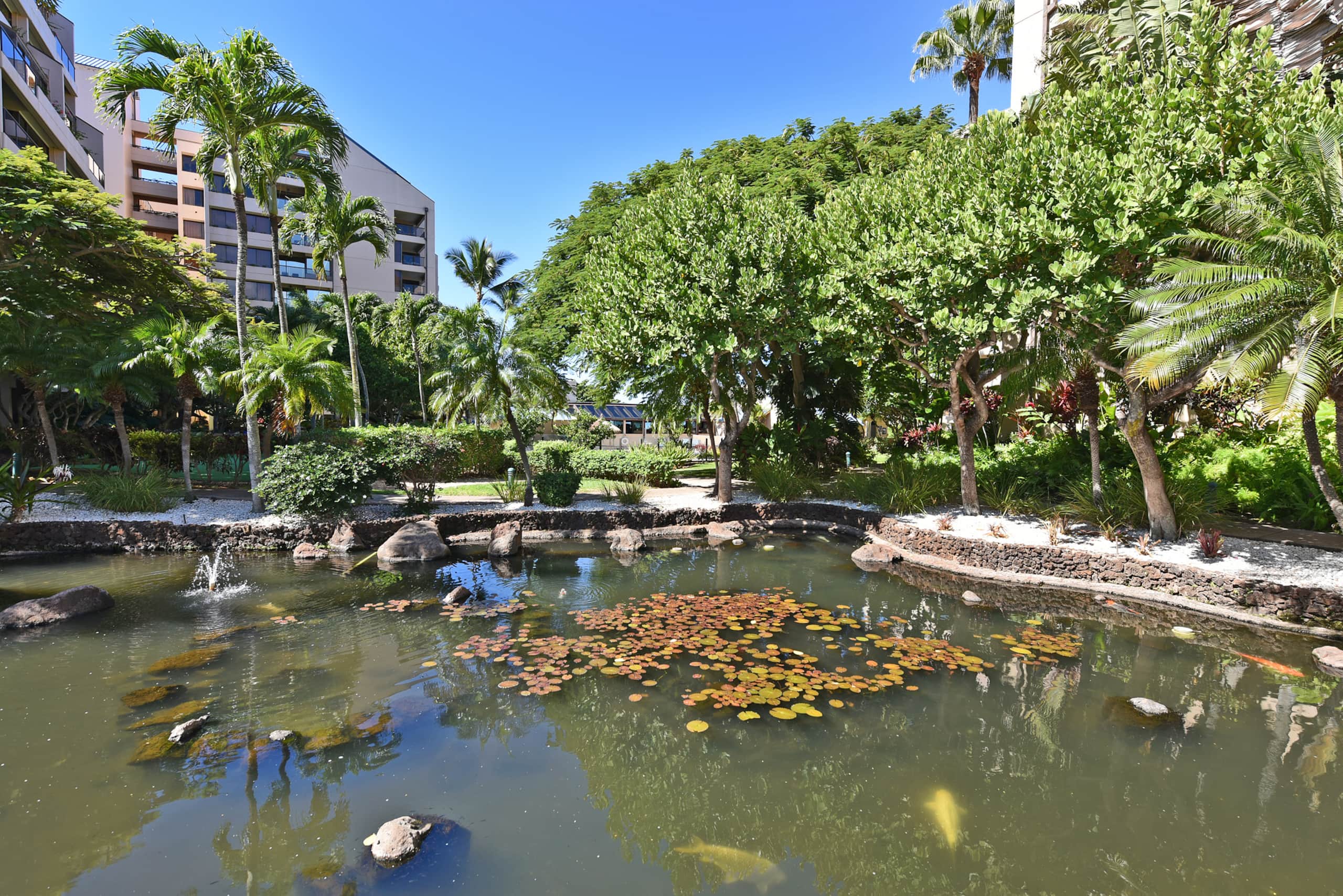 Condo in Lahaina · ★4.86 · 2 bedrooms · 3 beds · 2 baths - Image 43
