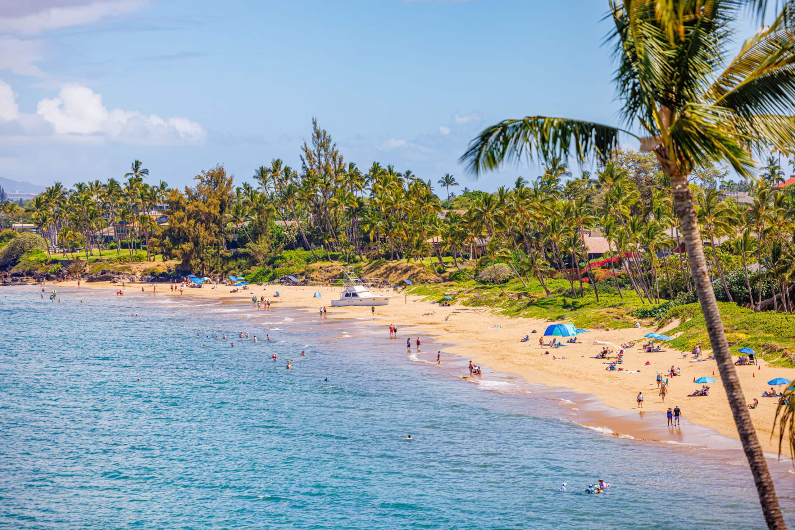 Condo in Kihei · ★5.0 · 2 bedrooms · 3 beds · 2 baths - Image 65