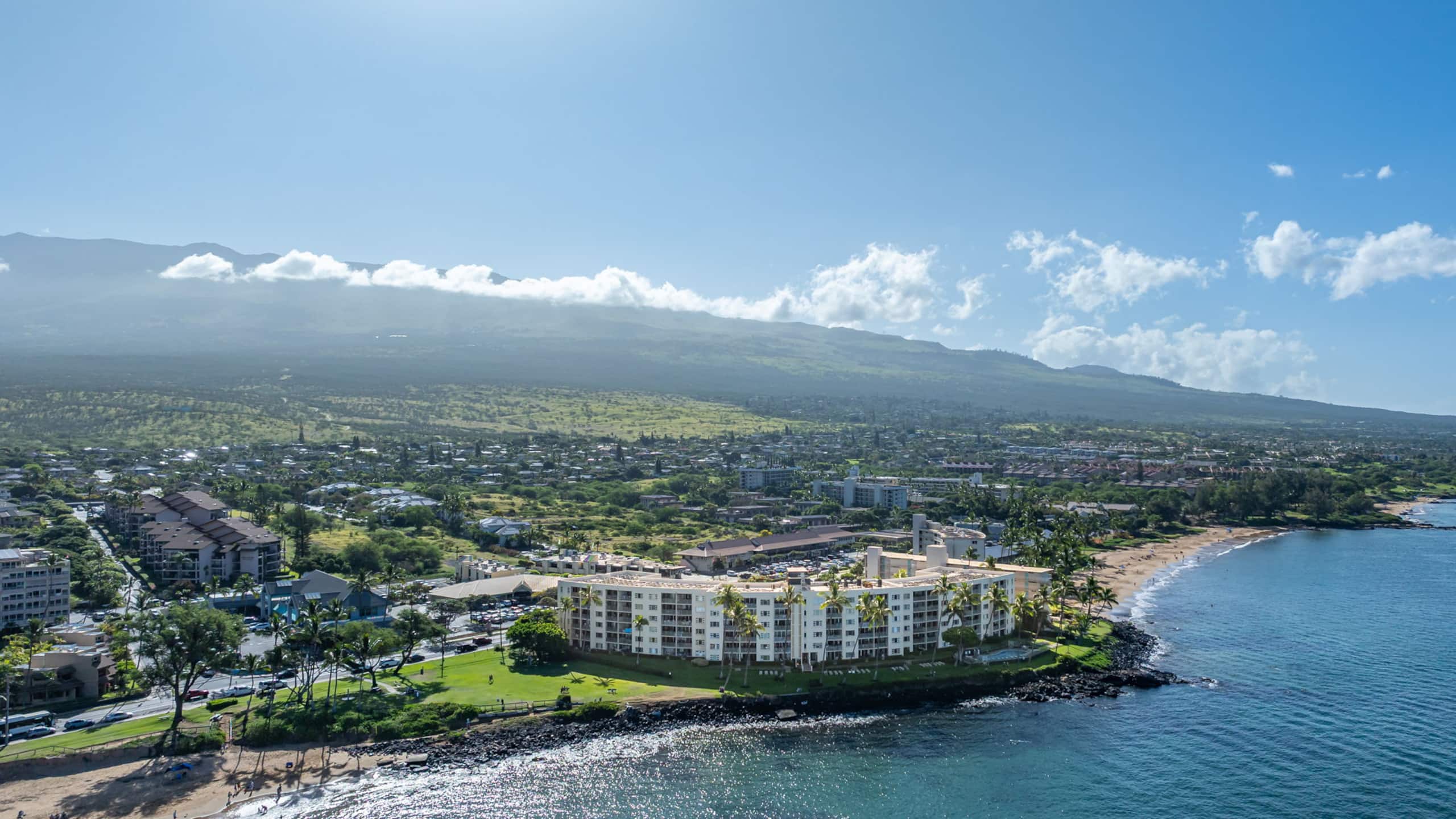 Condo in Kihei · ★5.0 · 2 bedrooms · 3 beds · 2 baths - Image 59