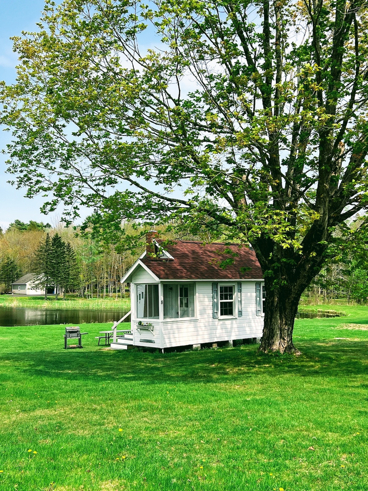 A quaint cottage stands beside a serene lake, surrounded by lush green grass and large trees. A seating area with two chairs is positioned nearby, providing a peaceful place to enjoy the tranquil surroundings. The natural landscape frames the inviting exterior of the cottage.
