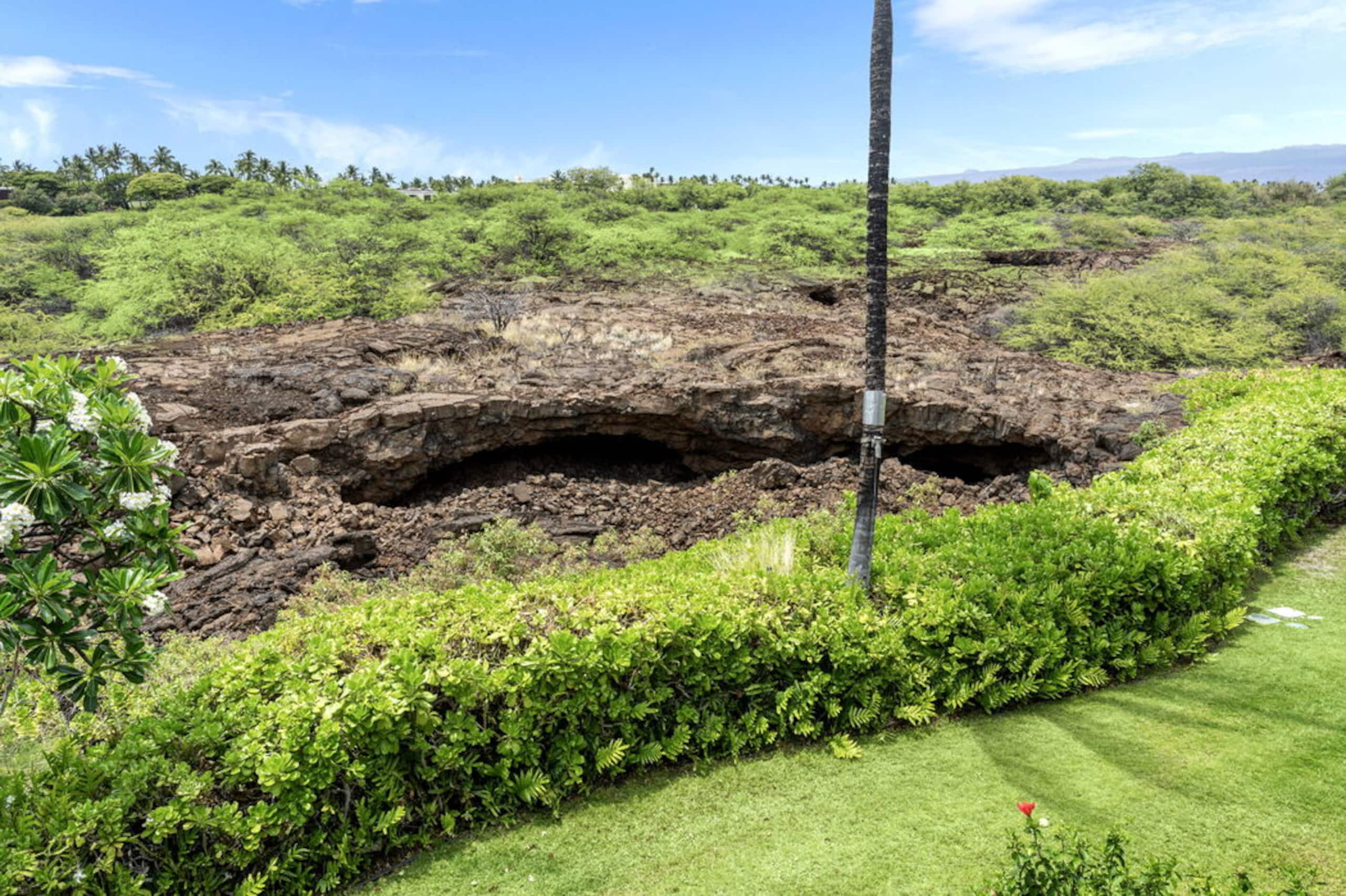 Condo in Waimea · ★5.0 · 2 bedrooms · 4 beds · 2 baths - Image 26