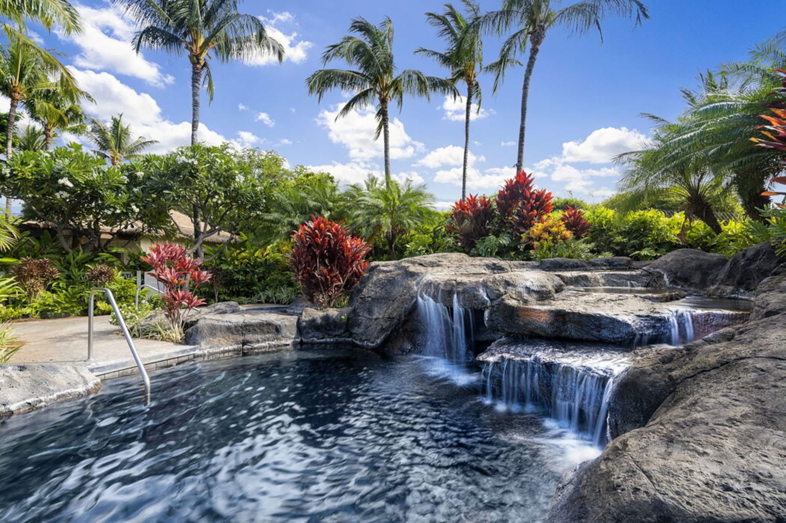 Condo in Waimea · ★5.0 · 2 bedrooms · 4 beds · 2 baths - Image 35