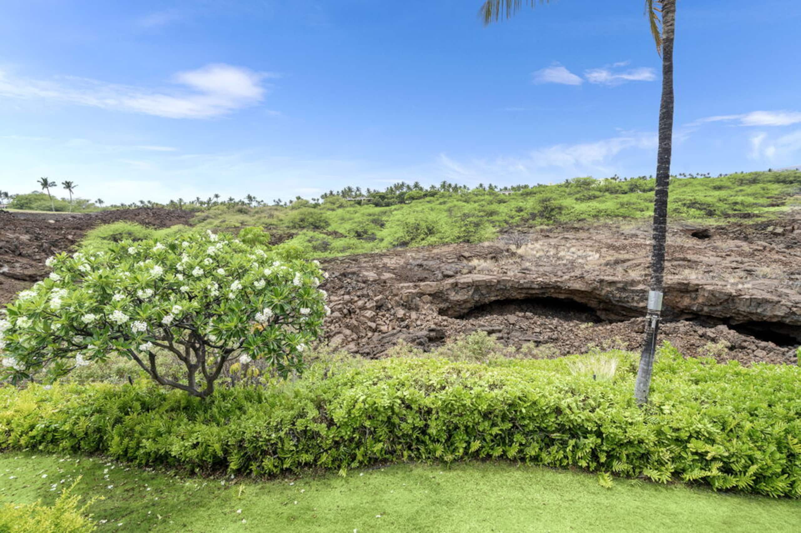 Condo in Waimea · ★5.0 · 2 bedrooms · 4 beds · 2 baths - Image 24