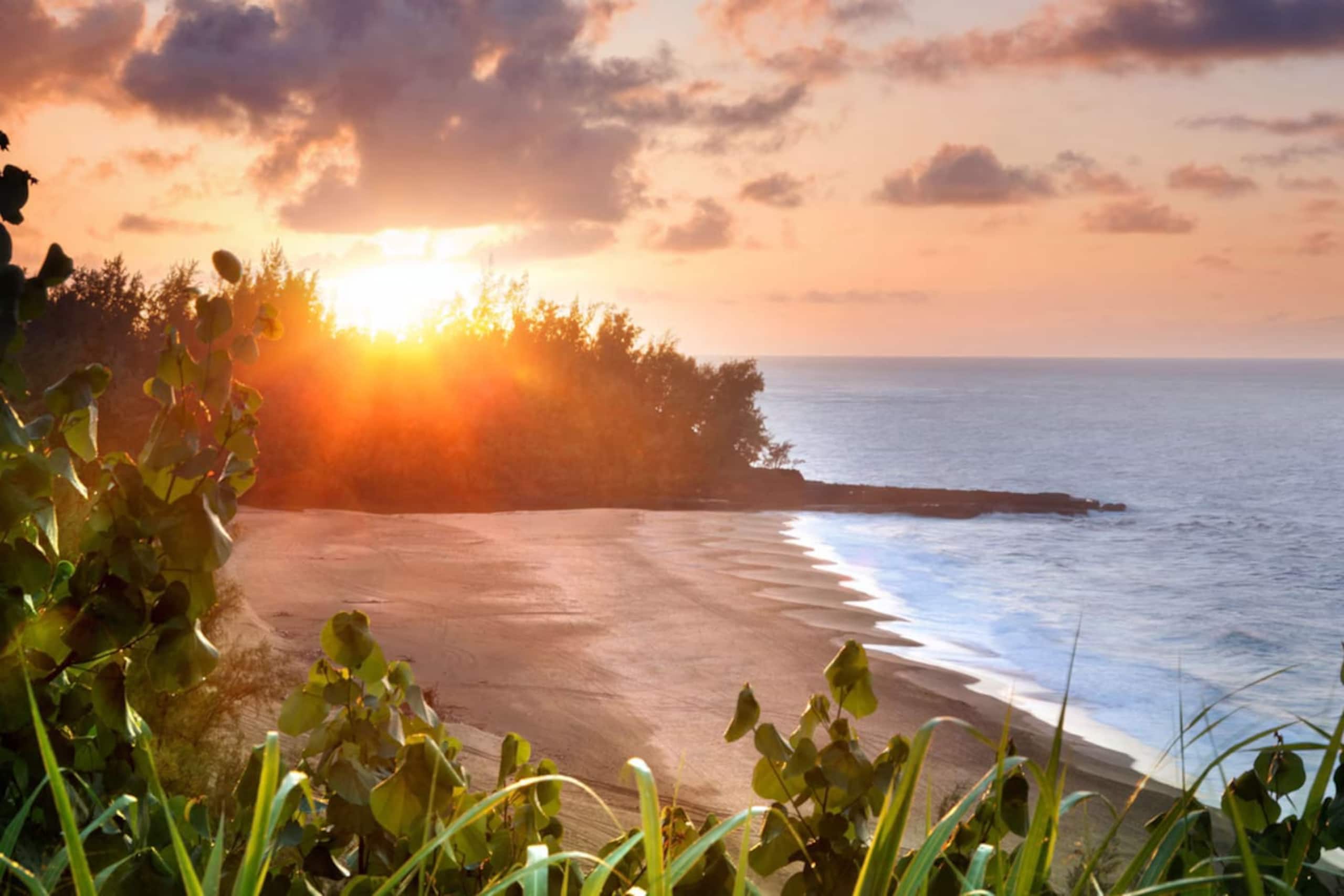 Condo in Princeville · ★5.0 · Studio · 2 beds · 1 bath - Image 18