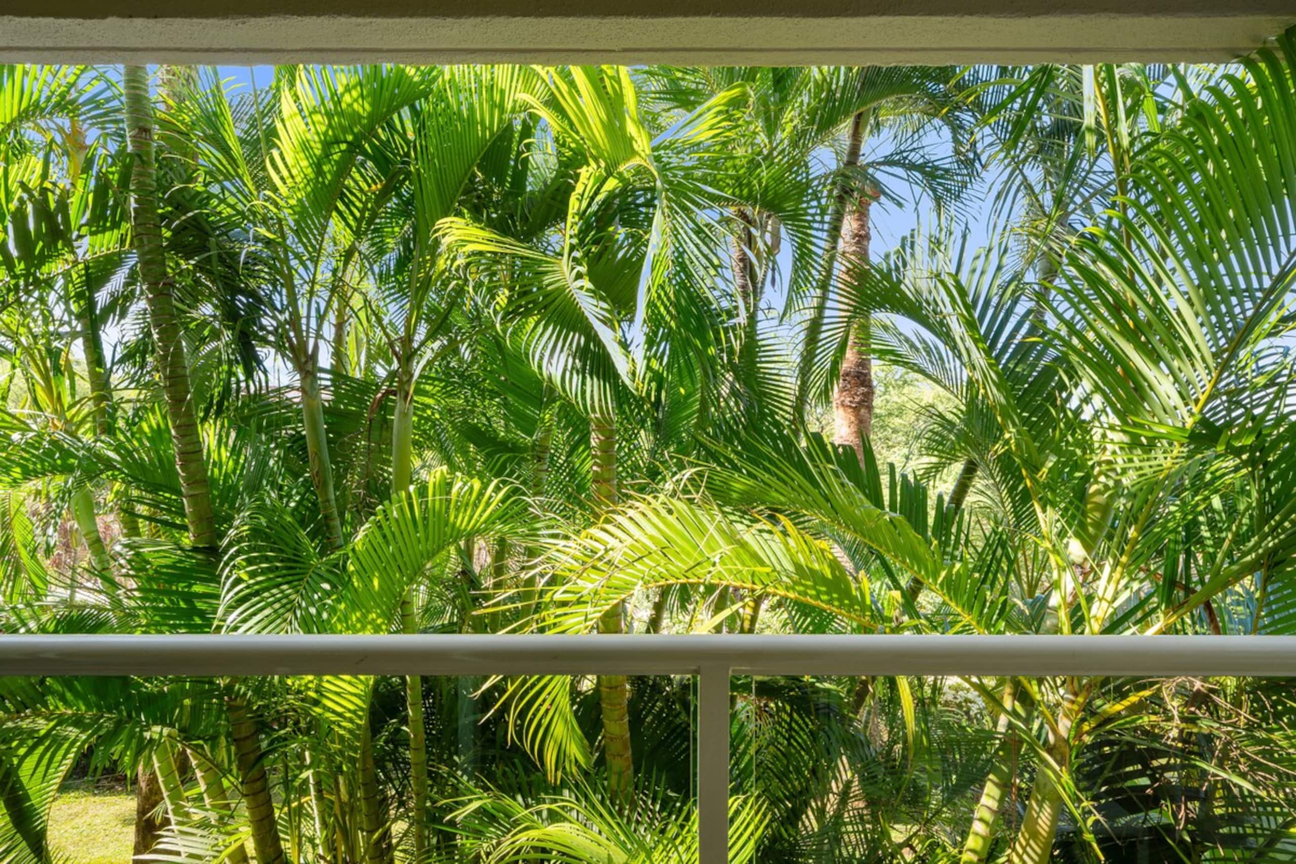 Maui Banyan H207 Tropical By Beach, Pool Hot Tub! - Image 28
