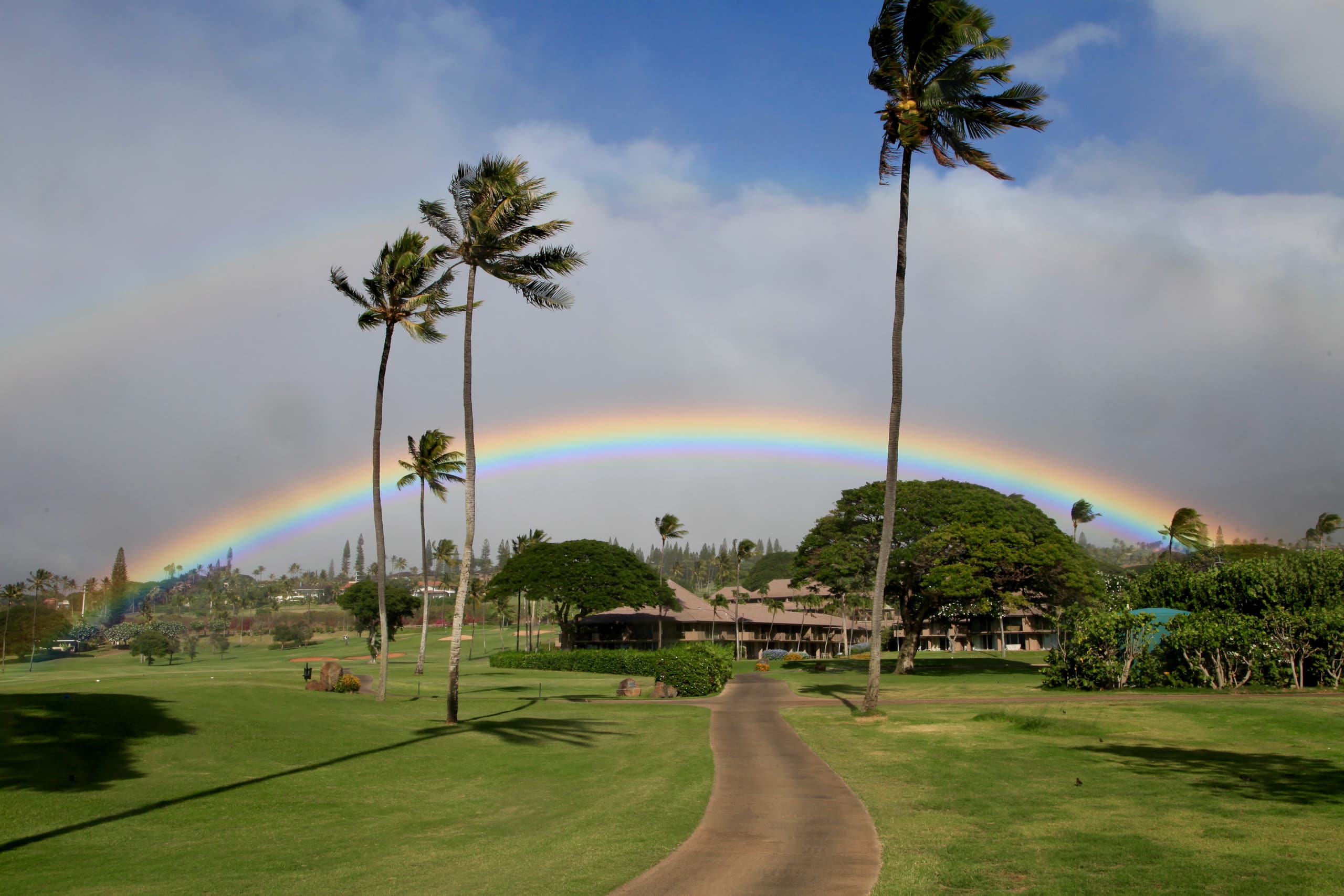 Condo in Lahaina · ★4.89 · 2 bedrooms · 4 beds · 2 baths - Image 33