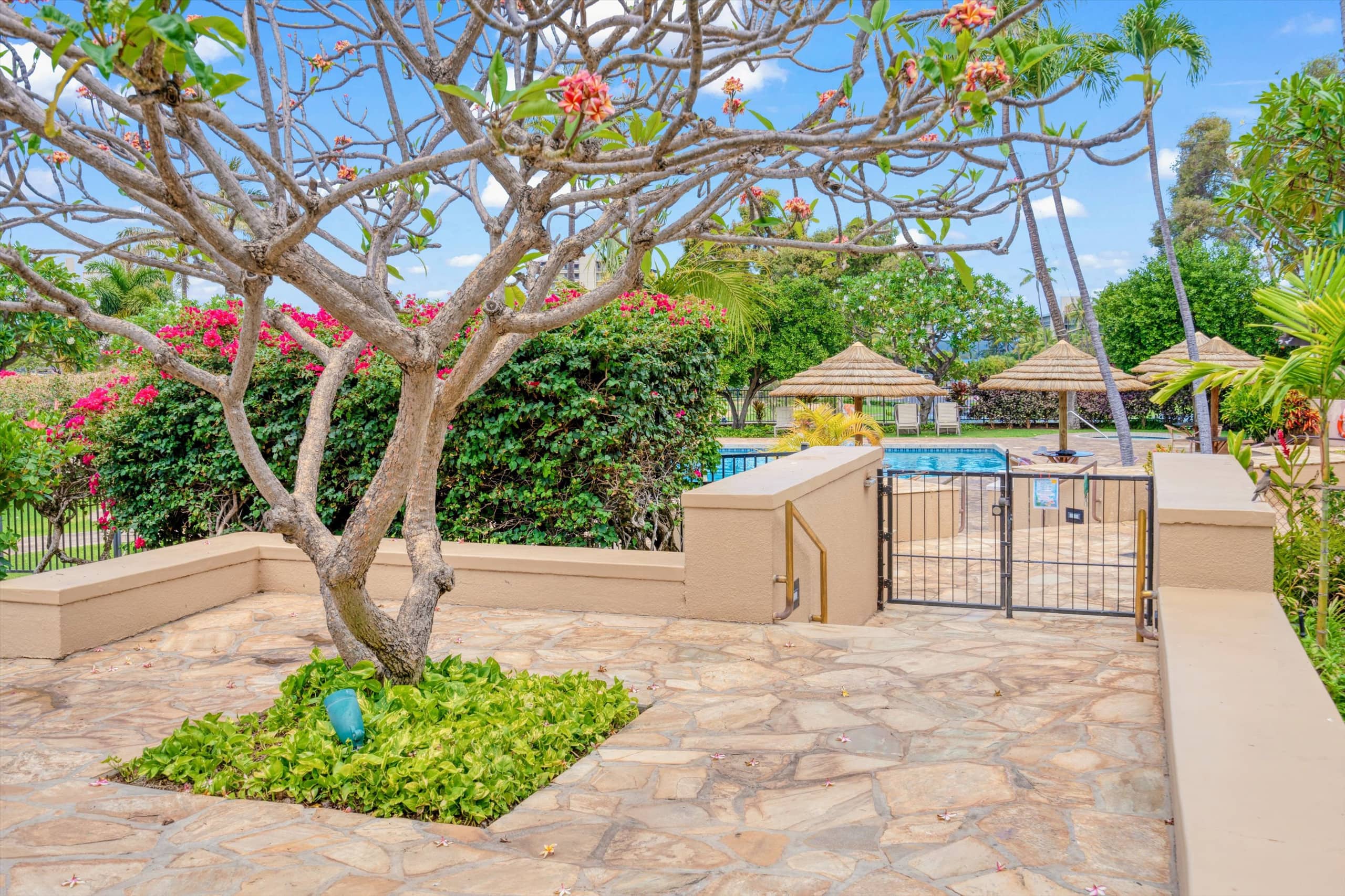 Condo in Lahaina · ★4.89 · 2 bedrooms · 4 beds · 2 baths - Image 7