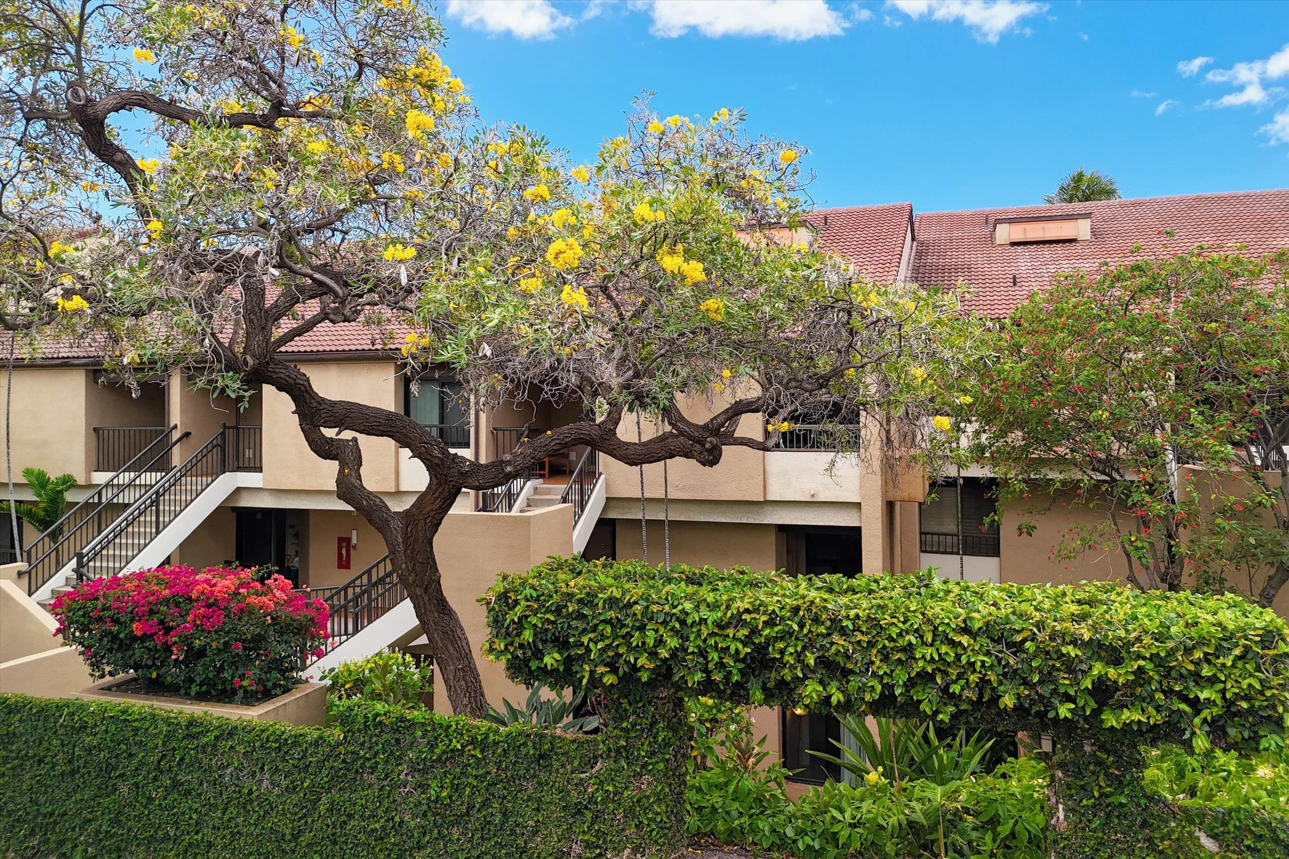 Condo in Lahaina · ★4.89 · 2 bedrooms · 4 beds · 2 baths - Image 44