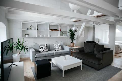 Unique penthouse apartment in old town
