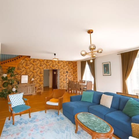 The house with 5 nests