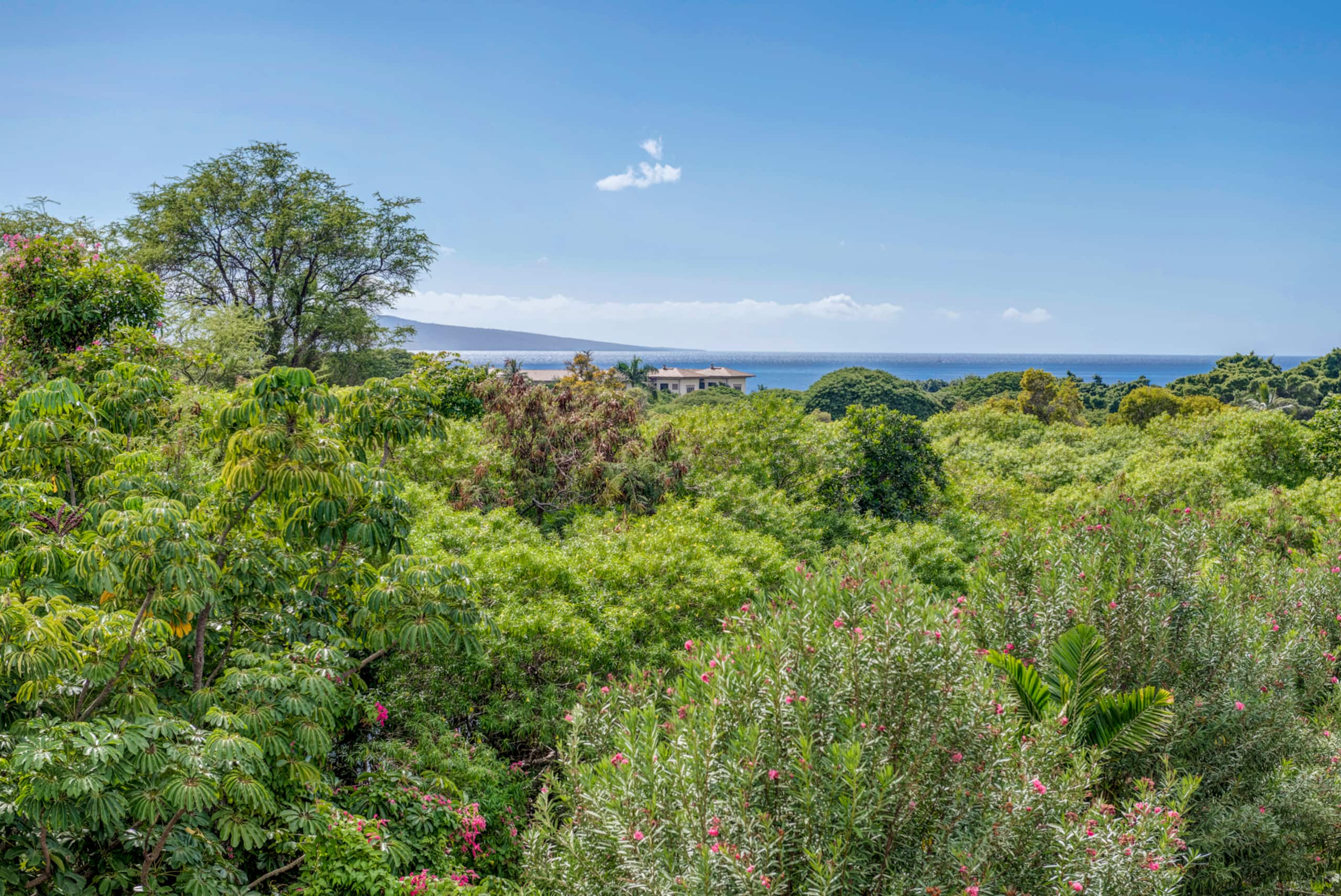 Condo in Kihei · ★4.68 · 3 bedrooms · 4 beds · 2 private baths - Image 6