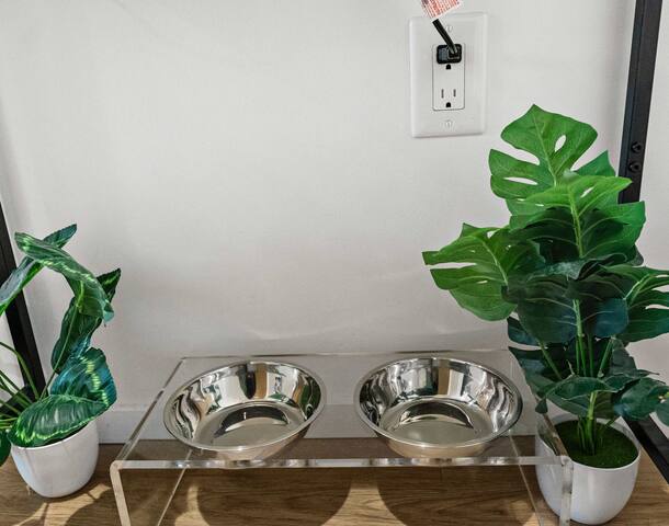 Boston Family Suite: Pool, Gym & Paid Parking gallery image 3