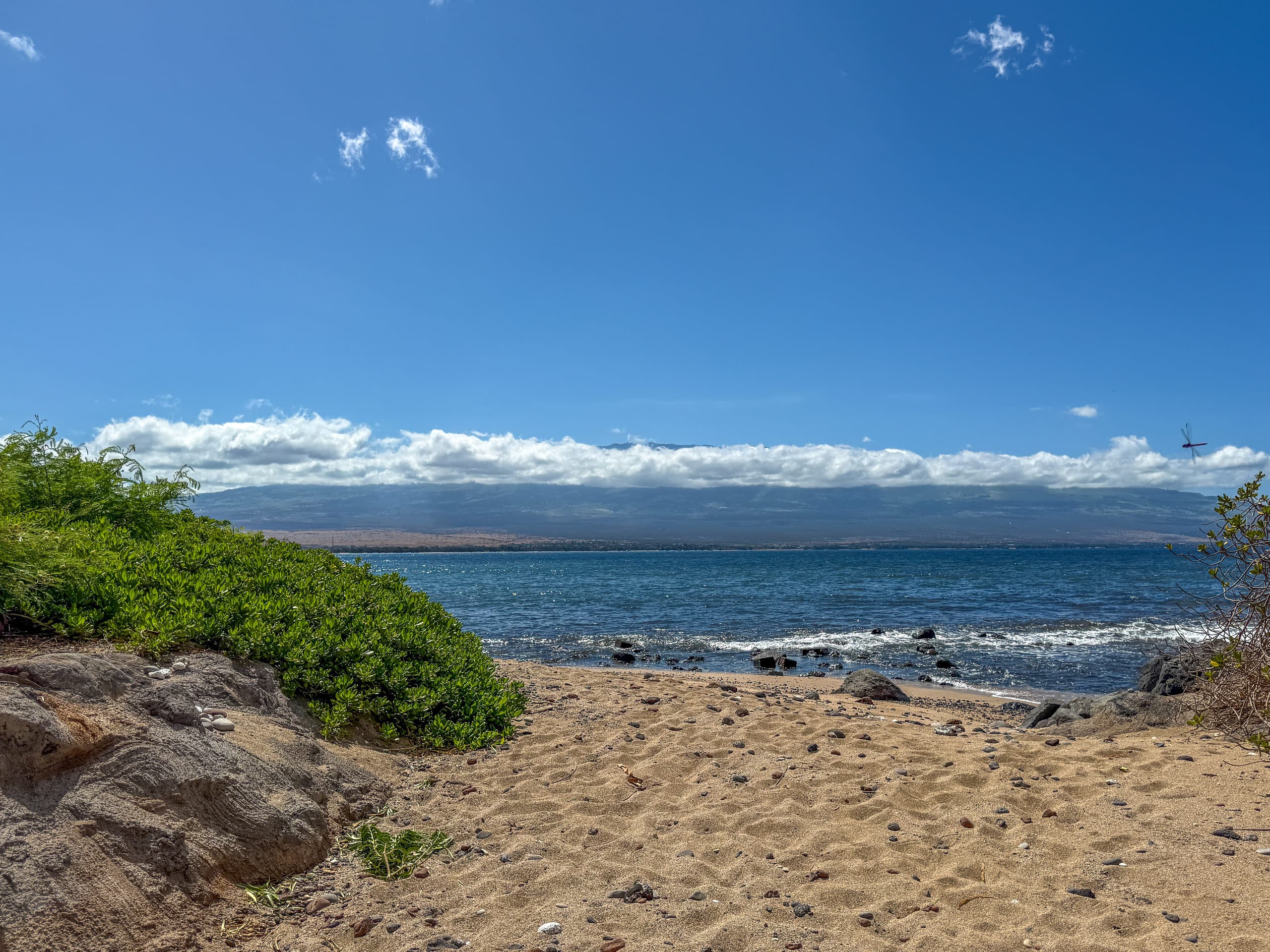 Condo in Wailuku · ★5.0 · 1 bedroom · 2 beds · 1 bath - Image 32