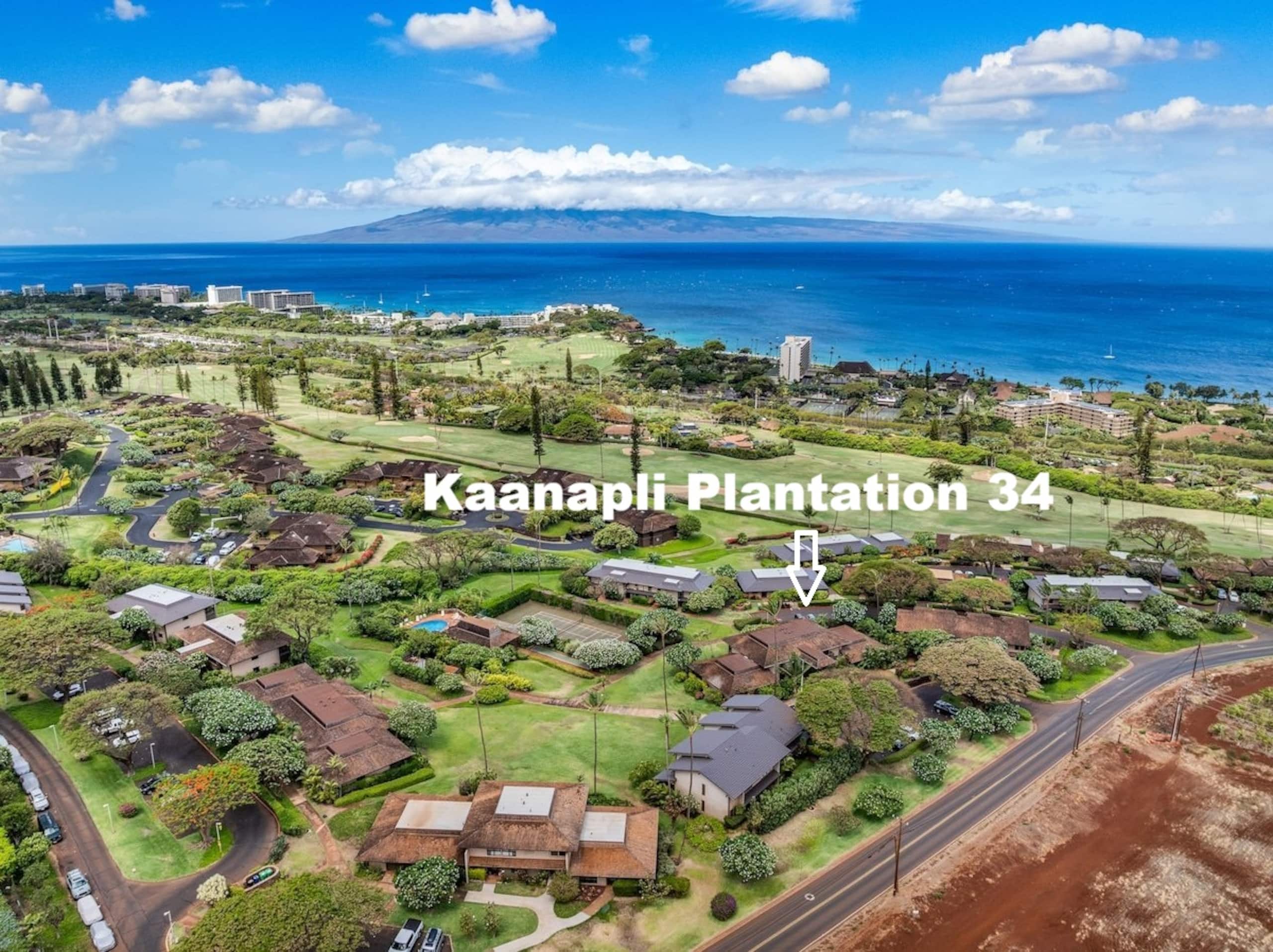 Condo in Lahaina · ★5.0 · 2 bedrooms · 3 beds · 2 baths - Image 40