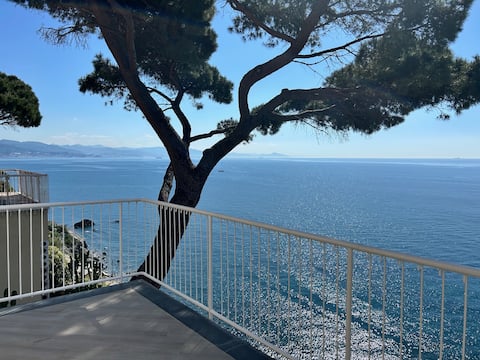 L'Île d'Azur