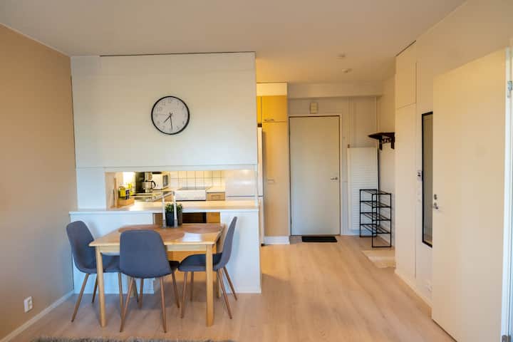 Cosy One Bedroom Apartment With Balcony - Rovaniemi
