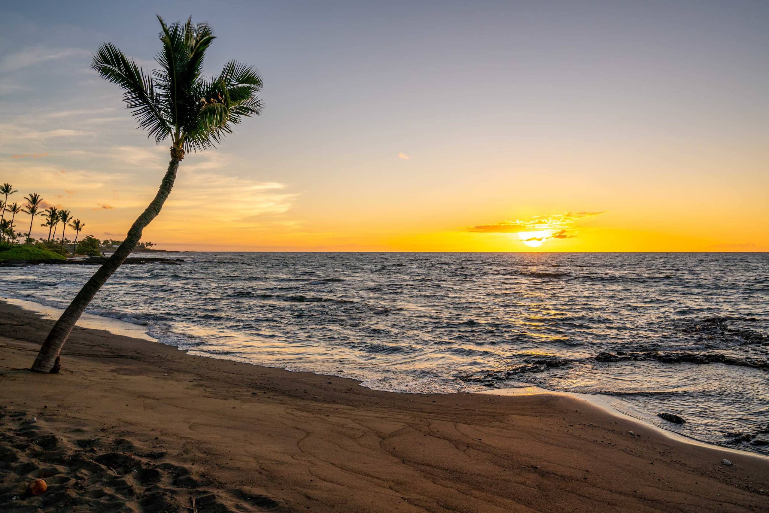 Home in Waimea · ★5.0 · 4 bedrooms · 4 beds · 3.5 baths - Image 47