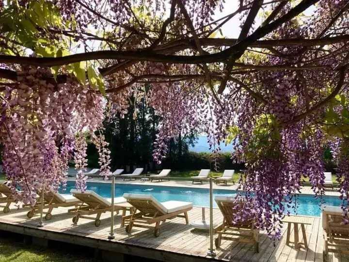 Zecamping Chalet - Ghisonaccia