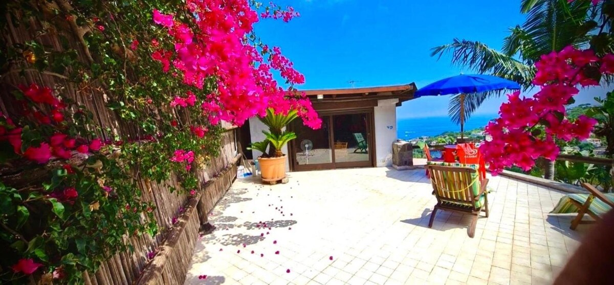 An outdoor terrace is adorned with vibrant pink bougainvillea and features a sun umbrella alongside a reclining chair. The view of the sea is visible in the distance, and the space is accented by scattered flower petals on the tiled surface.