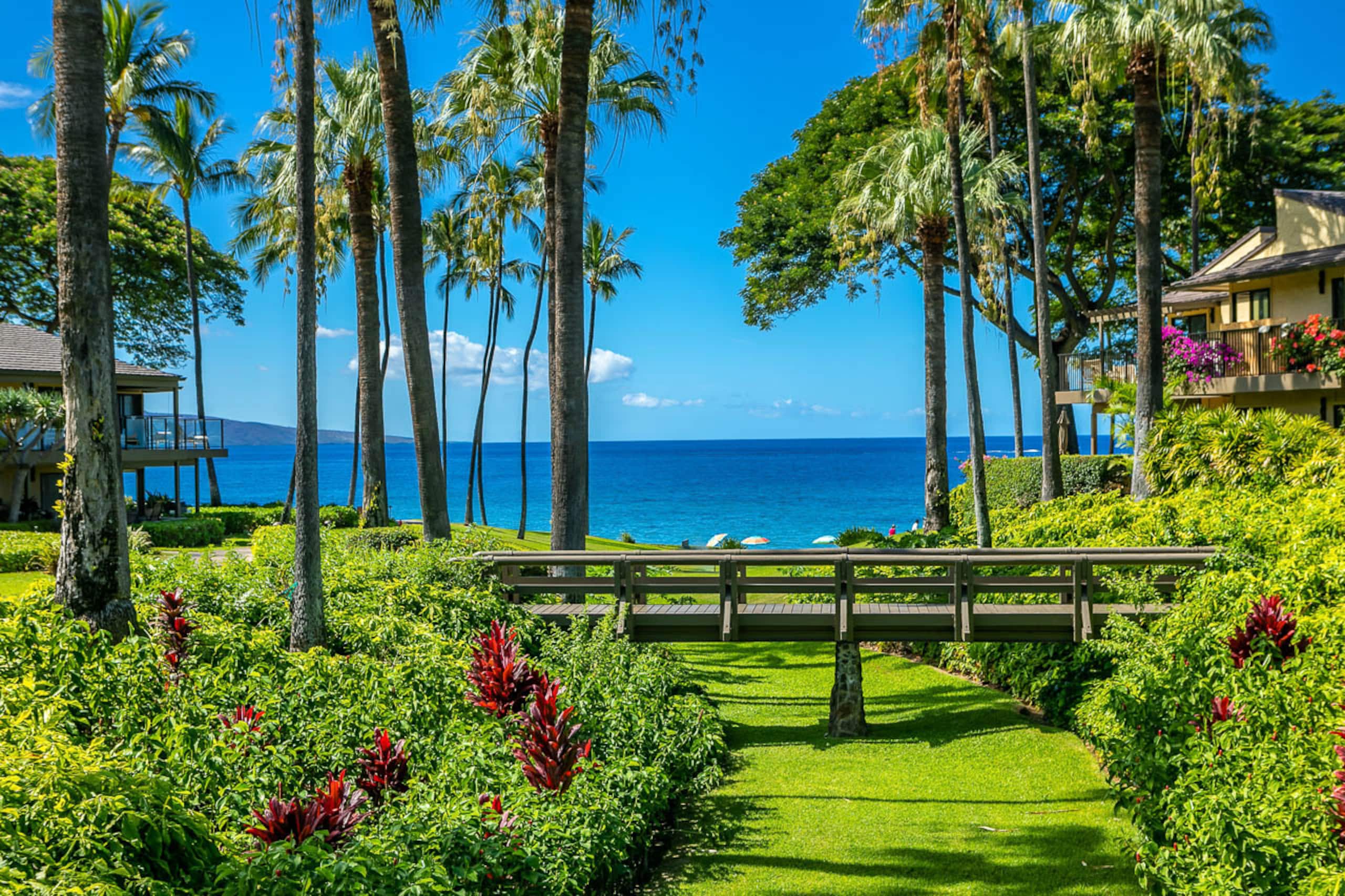 Condo in Kihei · ★4.86 · 1 bedroom · 1 bed · 2 baths - Image 53
