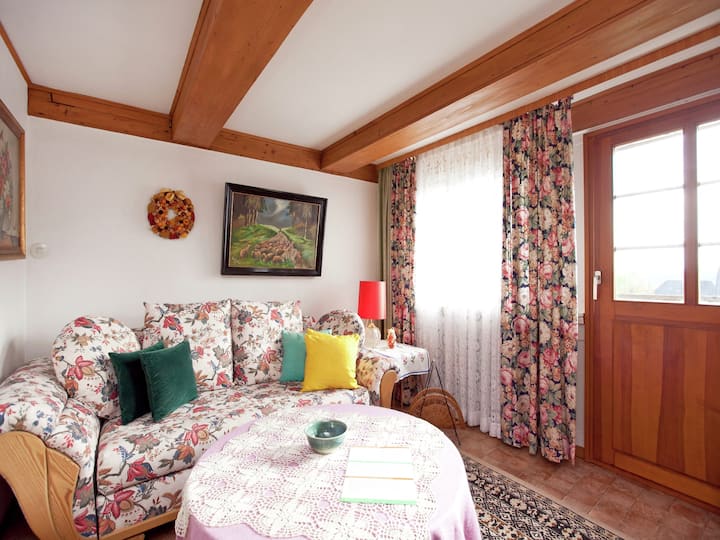 Appartement Dans La Forêt Noire Avec Jardin - Schluchsee