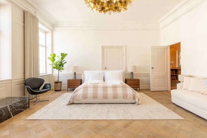 Grand Lux Apartment for 12 in Central Copenhagen gallery image 3