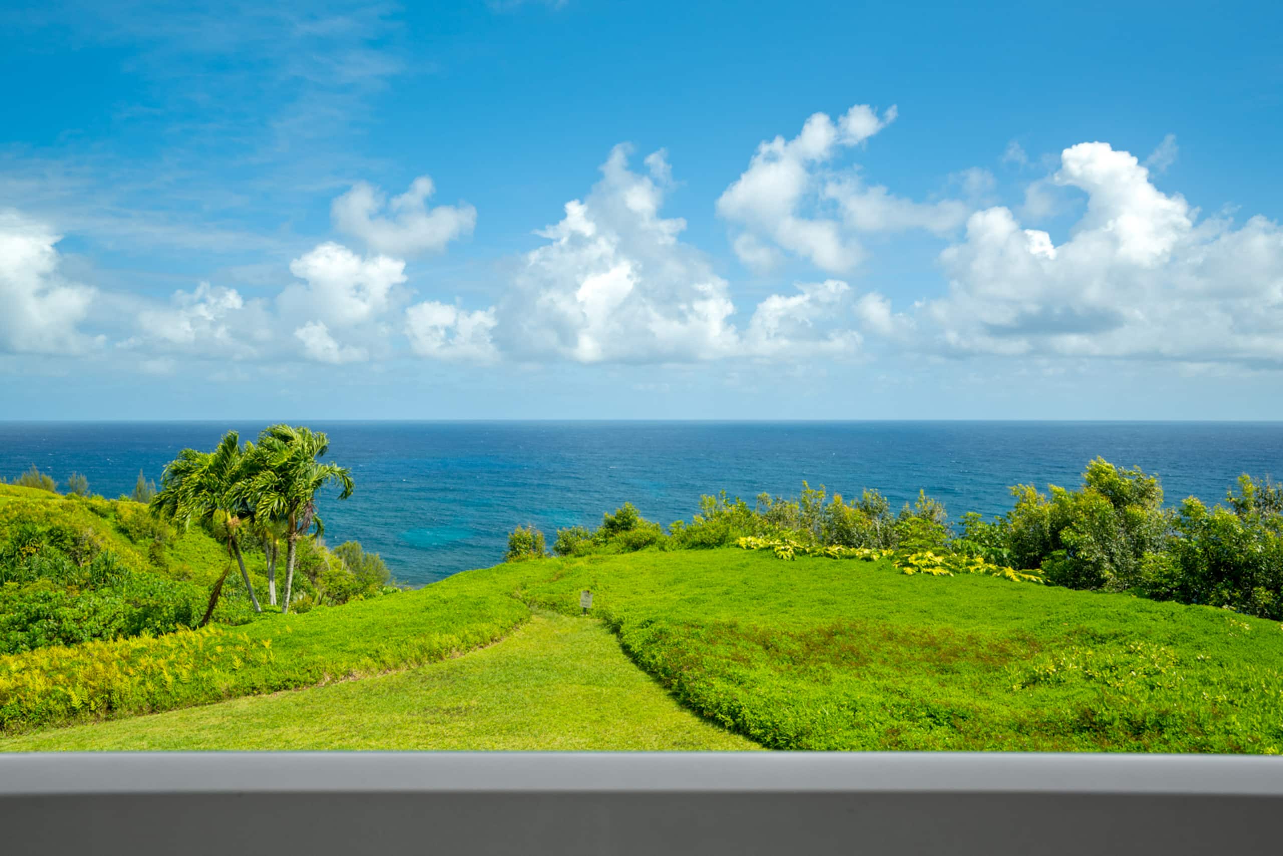 Majestic Ocean Views ~A/C ~Pool ~BBQ - Photo 3