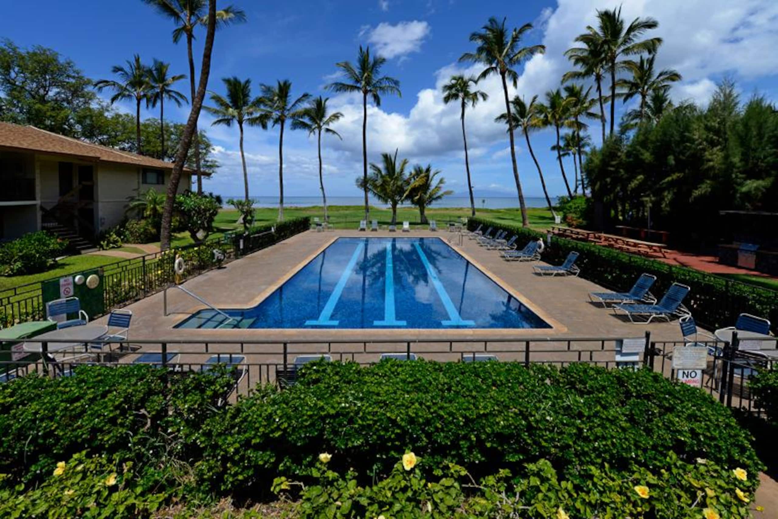 Condo in Kihei · ★4.86 · 1 bedroom · 2 beds · 1 shared bath - Image 6