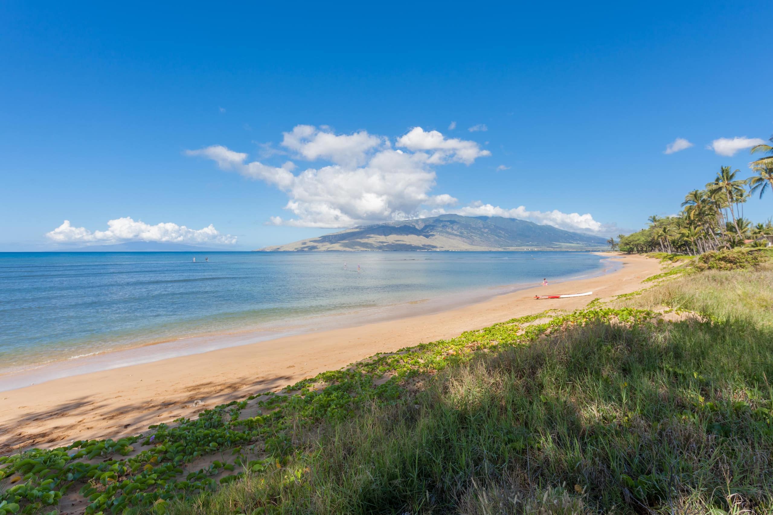 Condo in Kihei · ★4.86 · 1 bedroom · 2 beds · 1 shared bath - Image 26