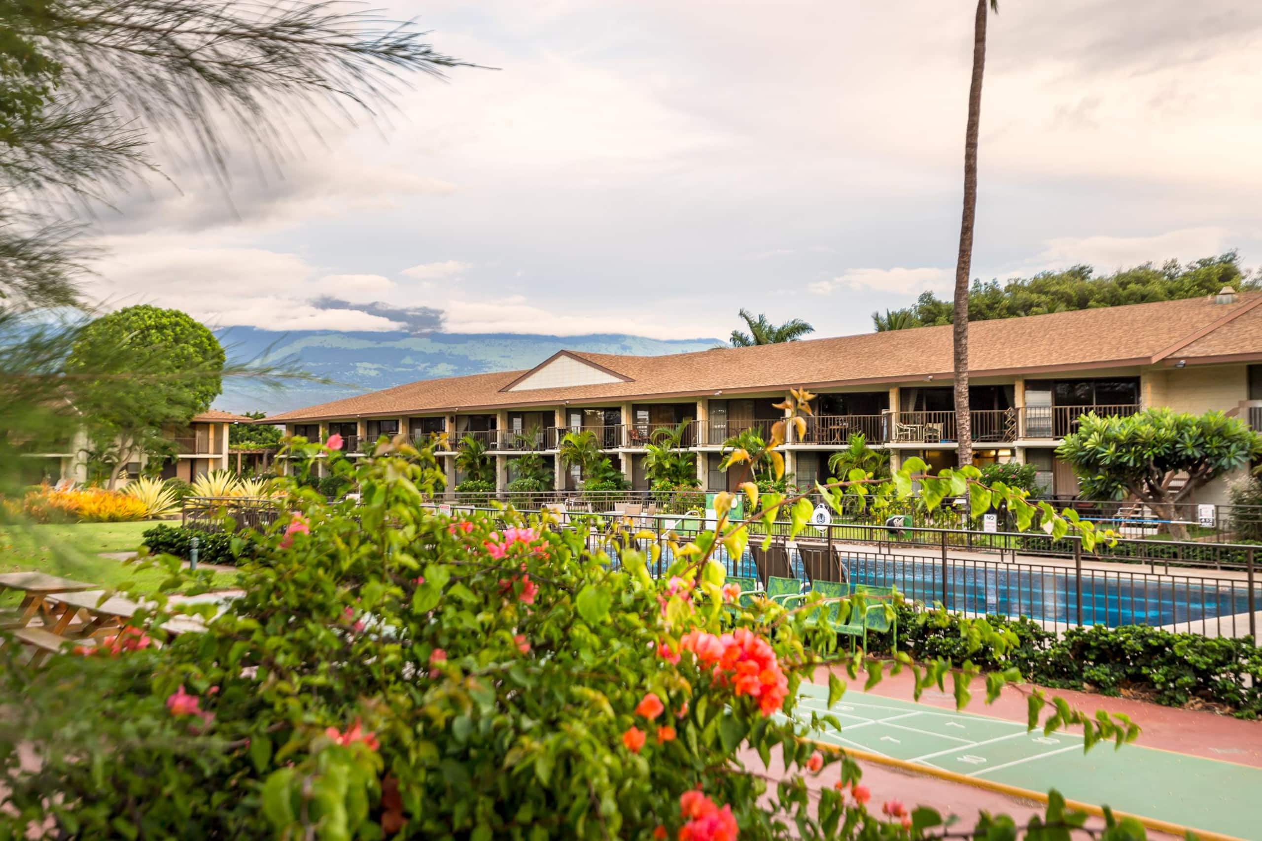 Condo in Kihei · ★4.86 · 1 bedroom · 2 beds · 1 shared bath - Image 13