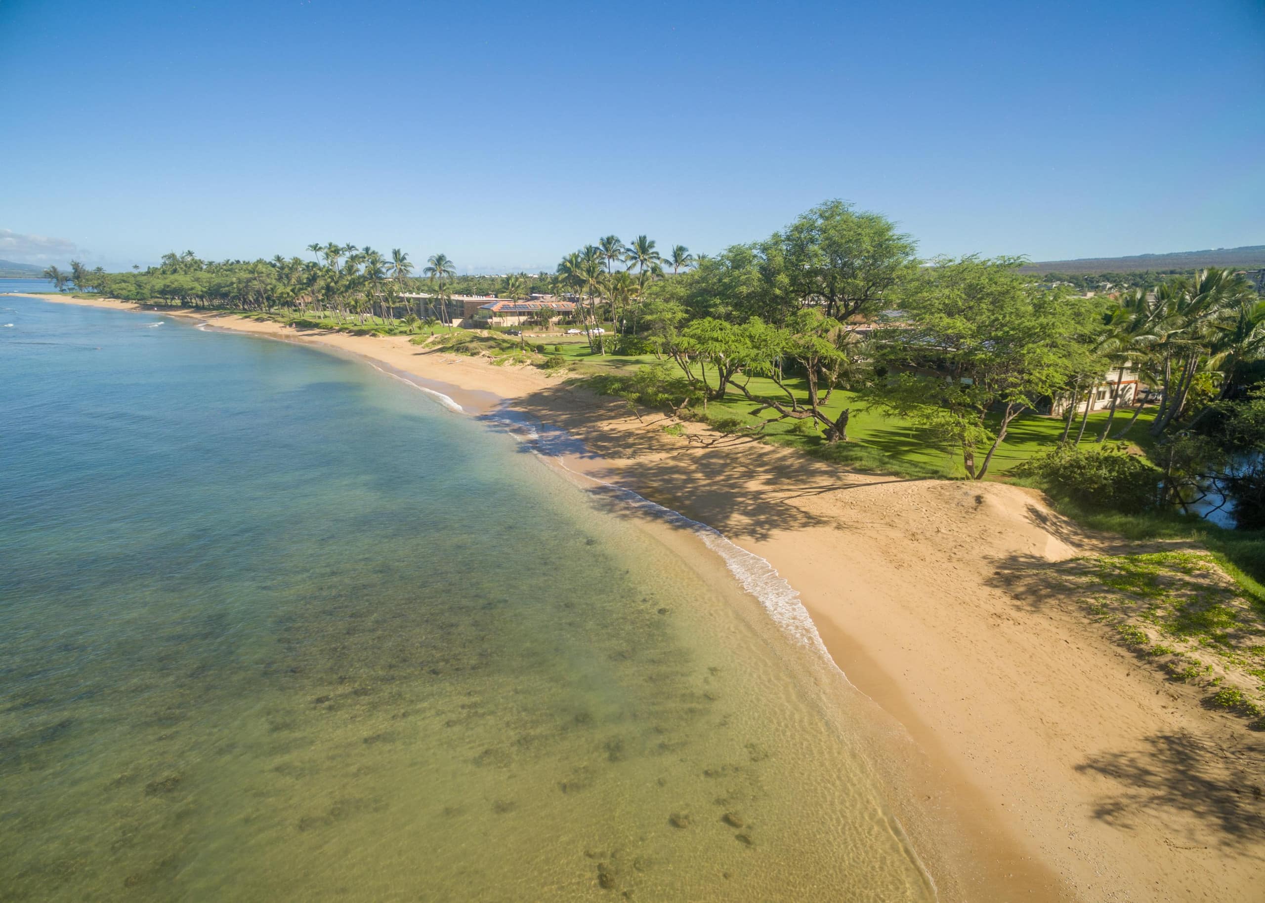 Condo in Kihei · ★4.86 · 1 bedroom · 2 beds · 1 shared bath - Image 5