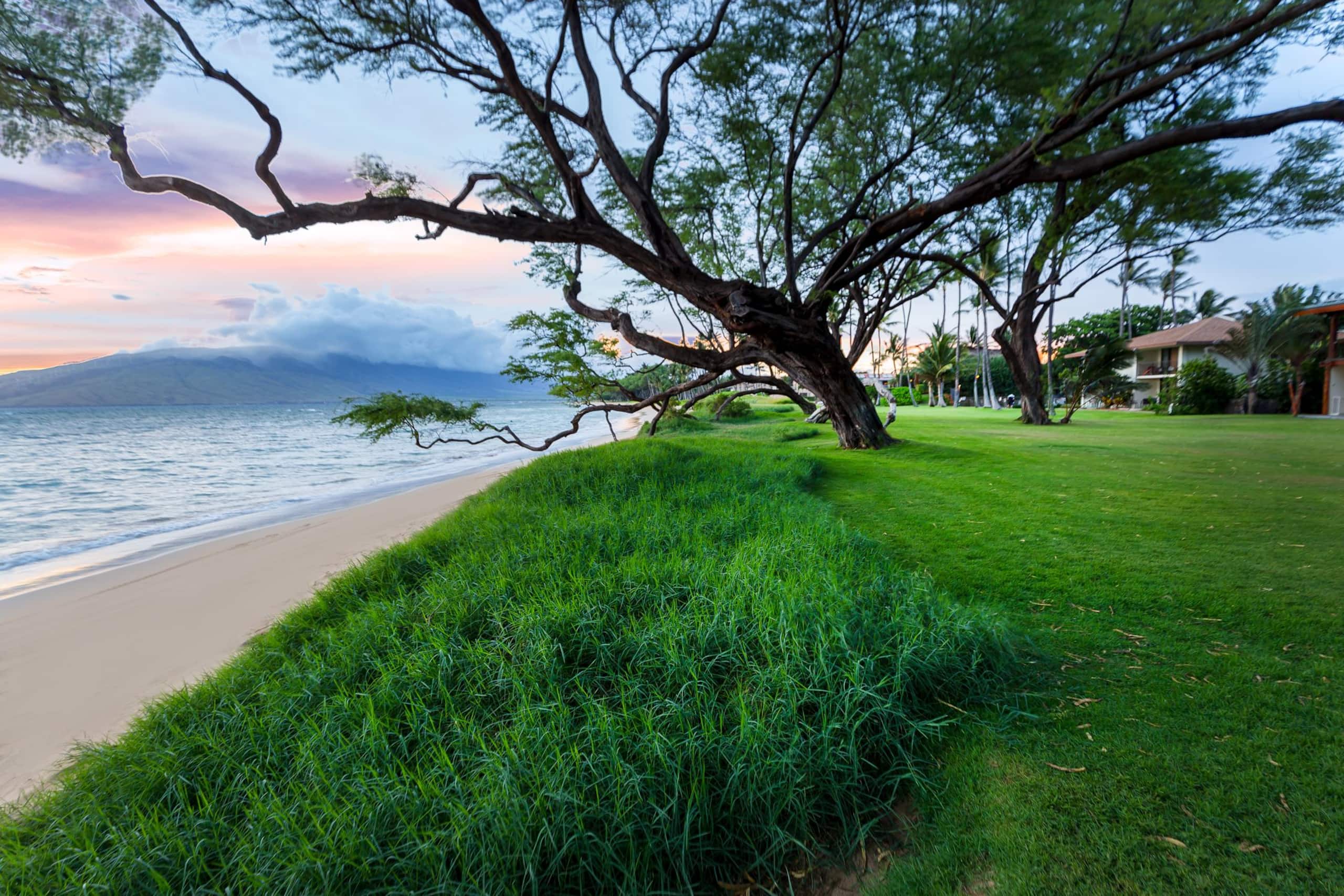 Condo in Kihei · ★4.86 · 1 bedroom · 2 beds · 1 shared bath - Image 25