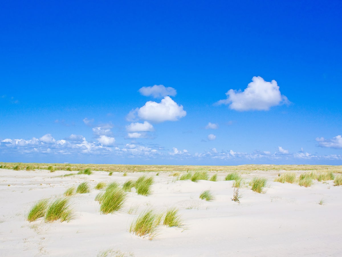 An open landscape of fine white sand is interspersed with patches of green grass. A clear blue sky stretches overhead, dotted with fluffy white clouds. The serene environment suggests a peaceful coastal setting, ideal for relaxation and exploration.