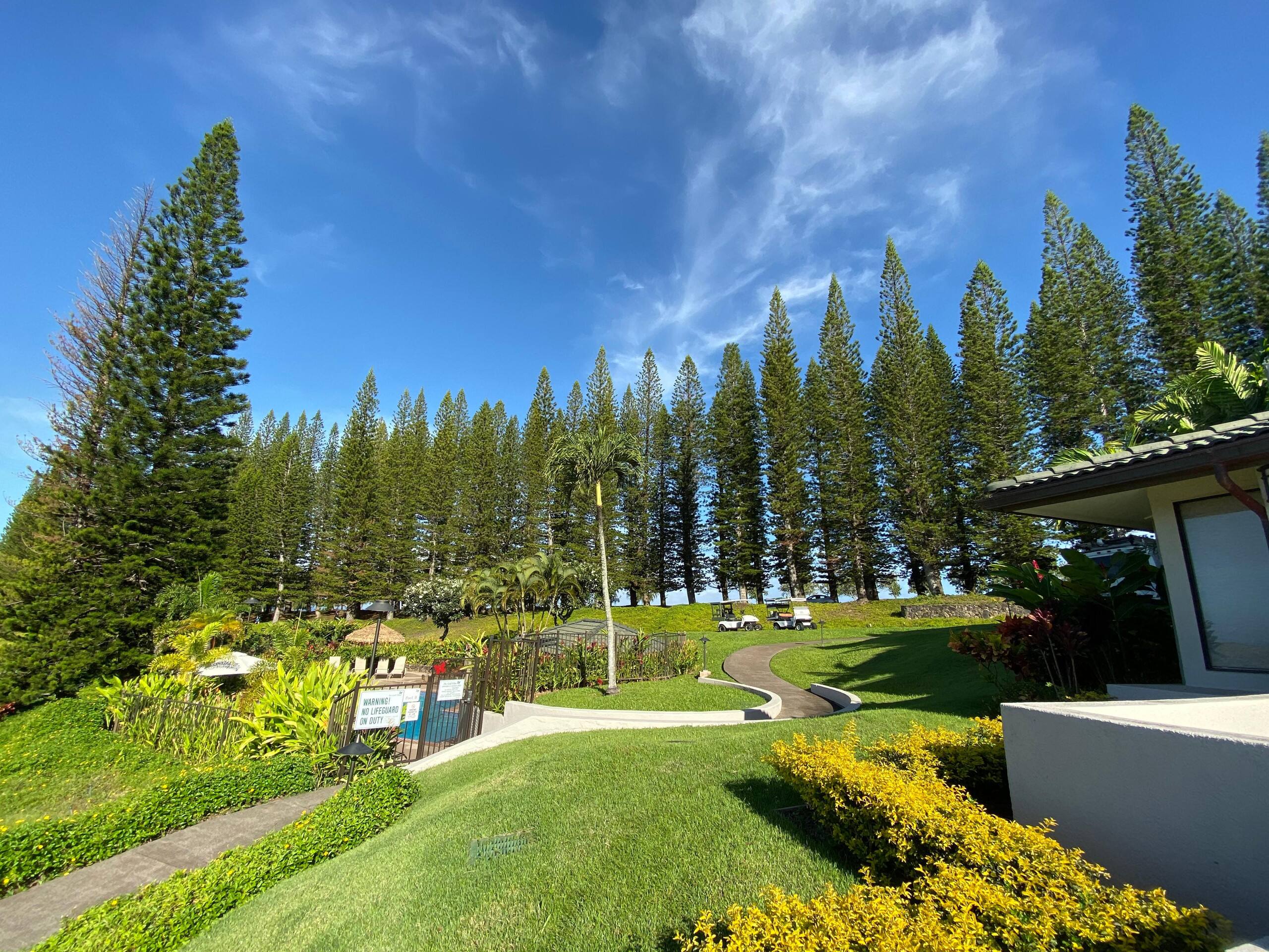 Condo in Lahaina · ★5.0 · 1 bedroom · 2 beds · 2 baths - Image 49