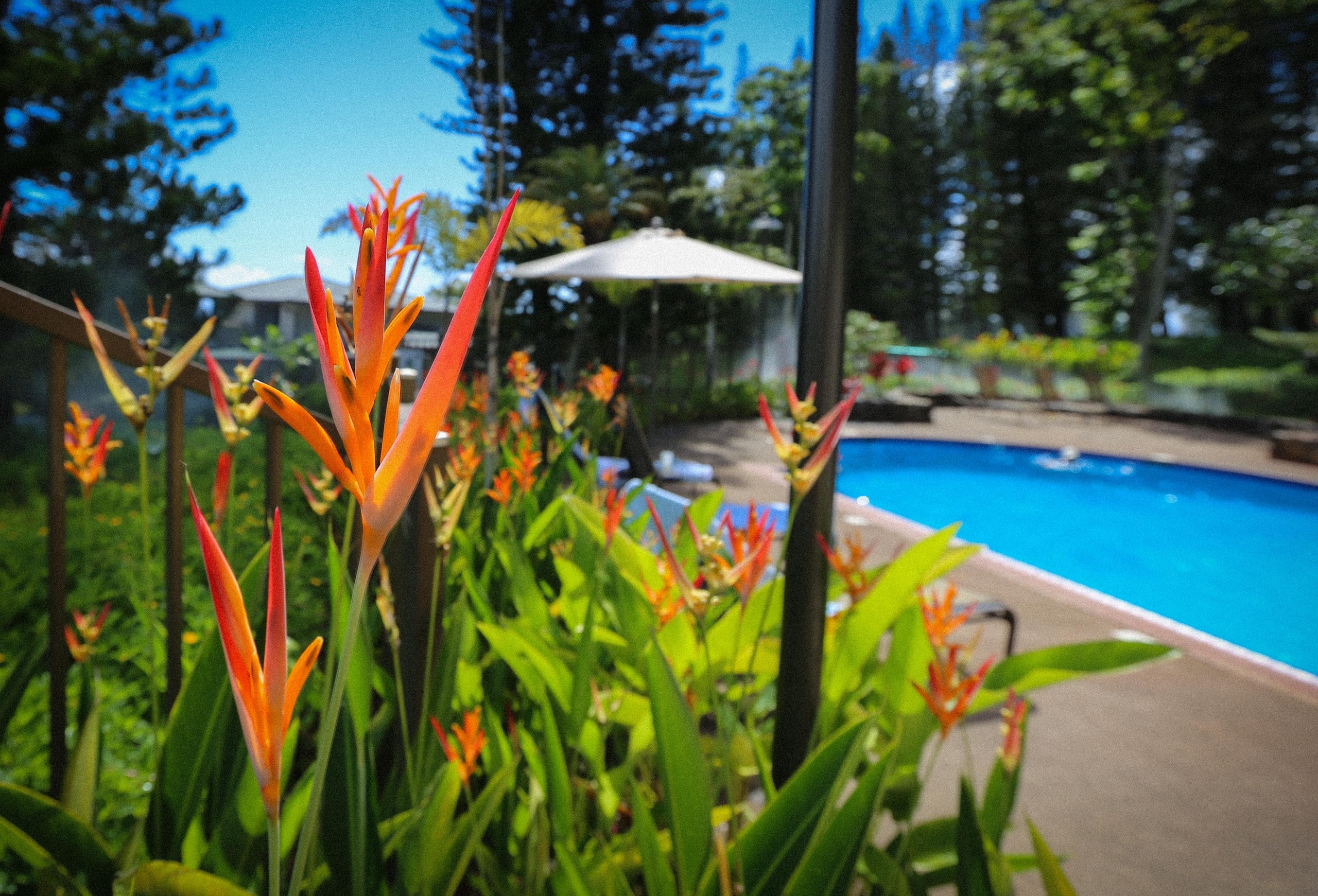 Condo in Lahaina · ★5.0 · 1 bedroom · 2 beds · 2 baths - Image 34