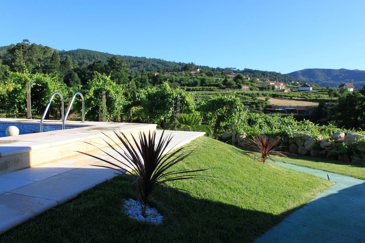 The outdoor area features a fenced swimming pool surrounded by a well-maintained garden. Lush greenery and vineyard rows can be seen in the background, complemented by distant hills. A small ornamental plant enhances the landscaped space, providing a relaxing environment.