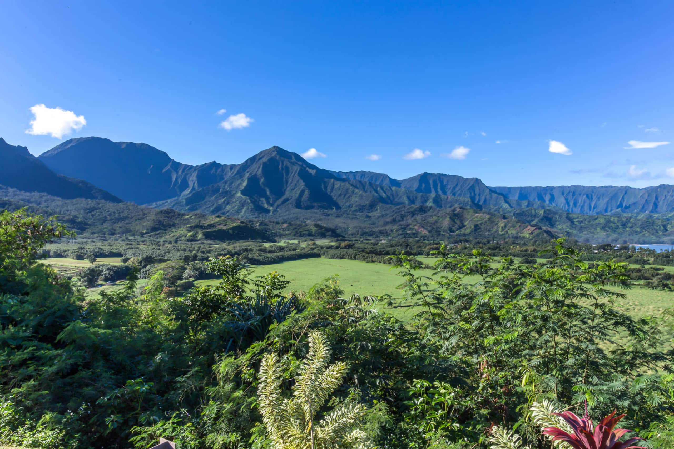 Condo in Princeville · ★4.76 · 2 bedrooms · 3 beds · 2 private baths - Image 33