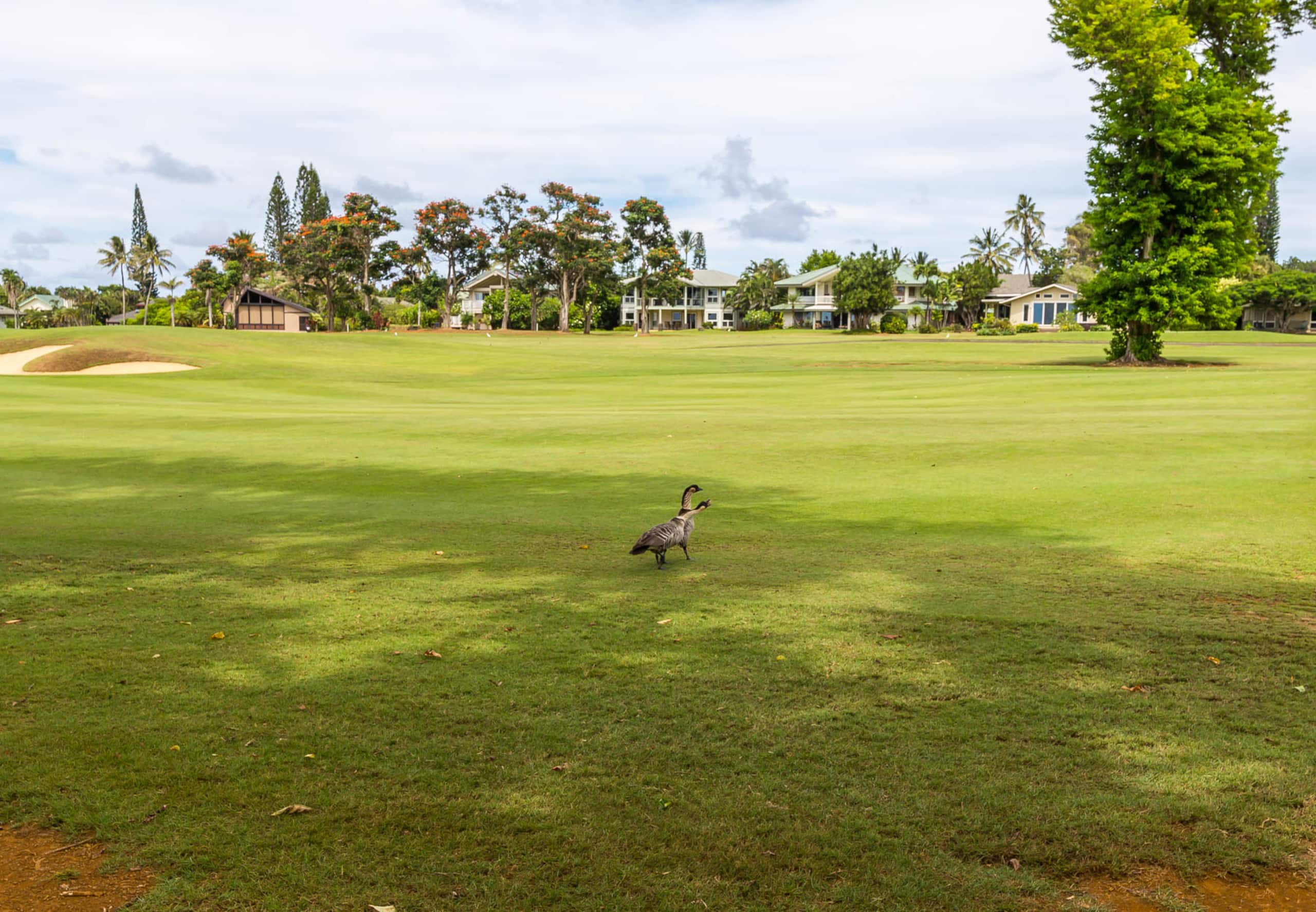 Condo in Princeville · ★4.76 · 2 bedrooms · 3 beds · 2 private baths - Image 29
