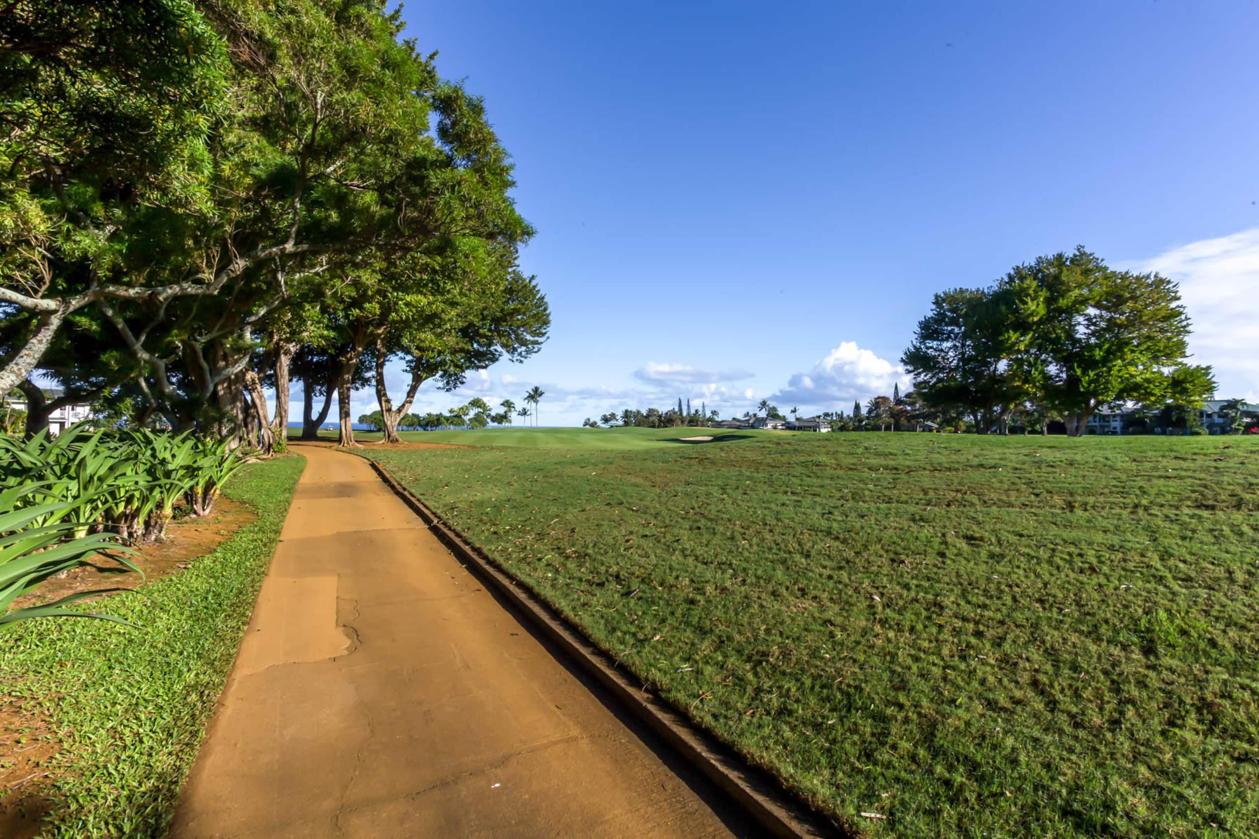 Condo in Princeville · ★4.76 · 2 bedrooms · 3 beds · 2 private baths - Image 31