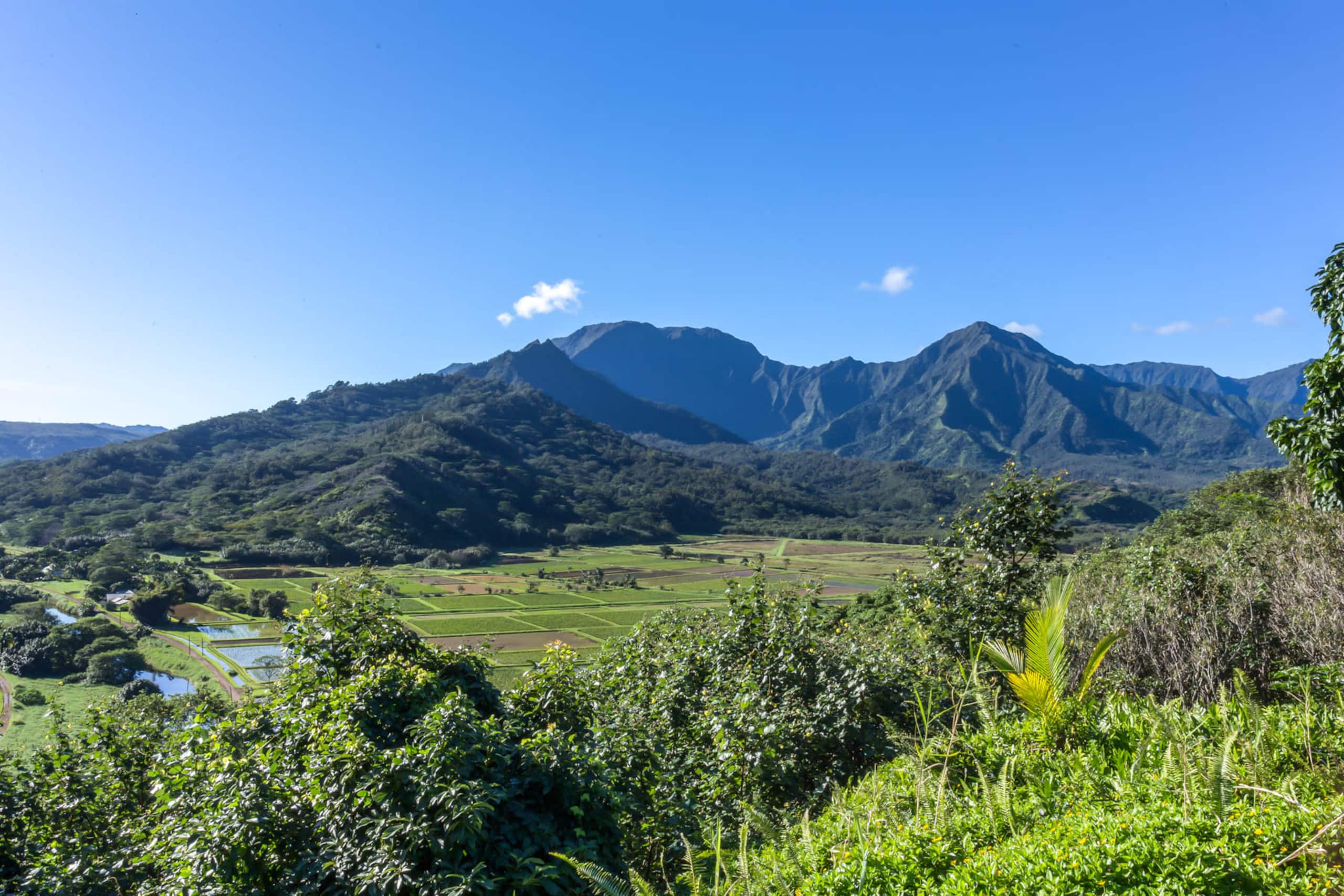 Condo in Princeville · ★4.76 · 2 bedrooms · 3 beds · 2 private baths - Image 30