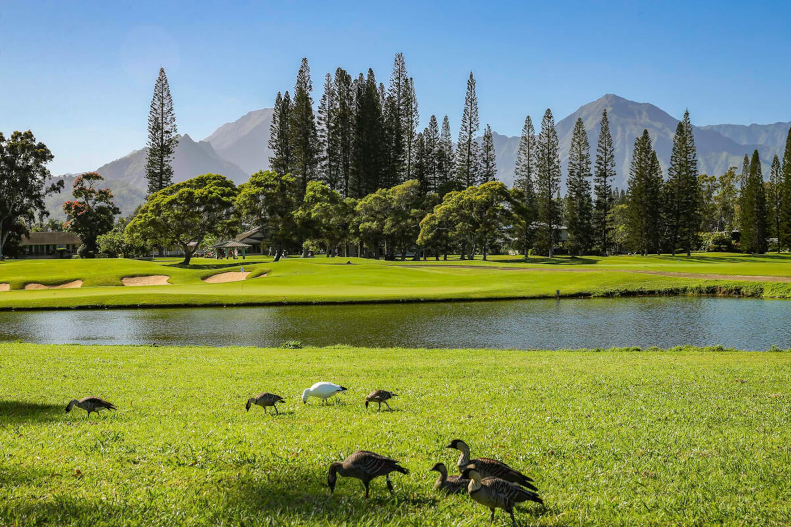 Home in Princeville · ★5.0 · 3 bedrooms · 3 beds · 3 private baths - Image 66