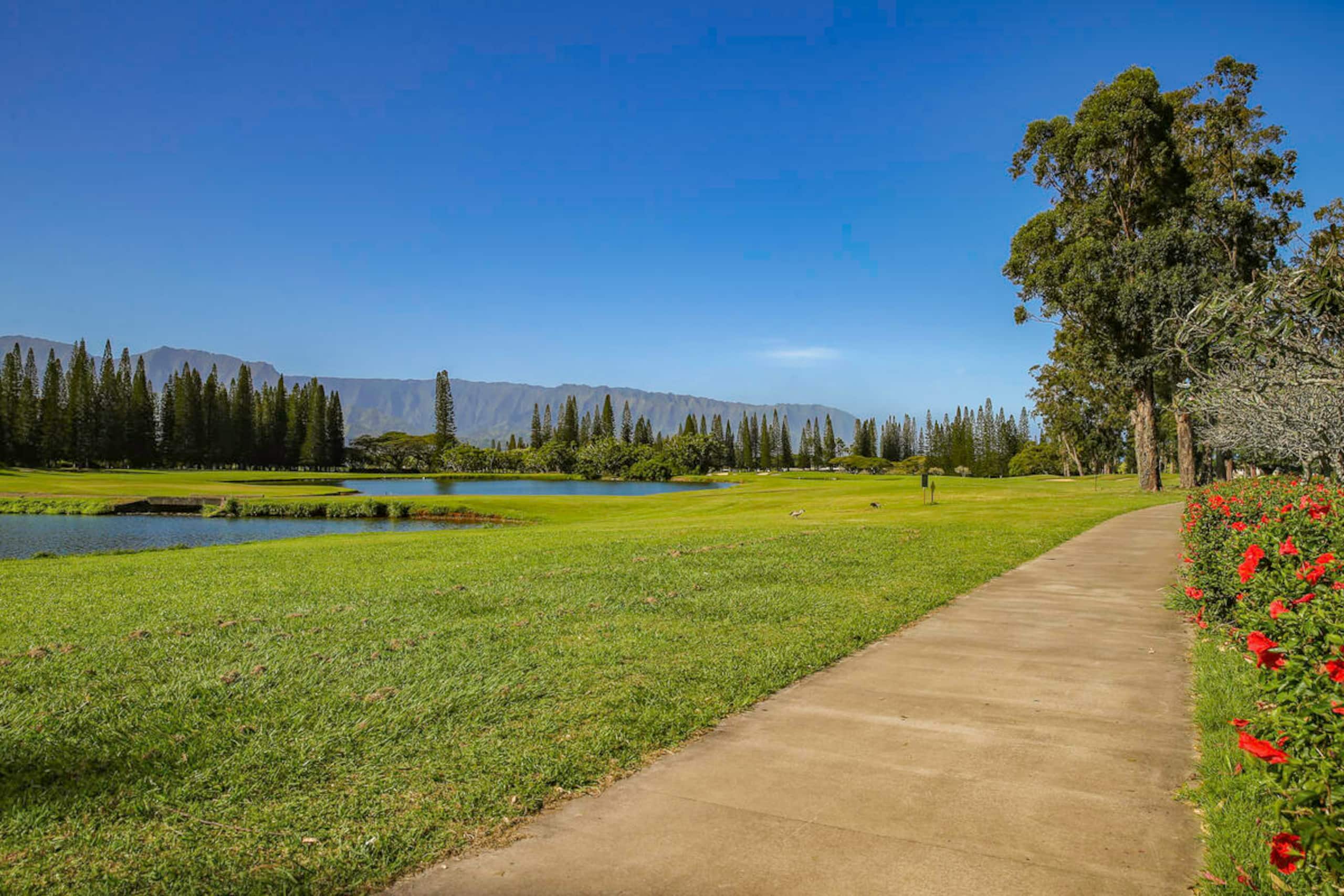 Home in Princeville · ★5.0 · 3 bedrooms · 3 beds · 3 private baths - Image 57