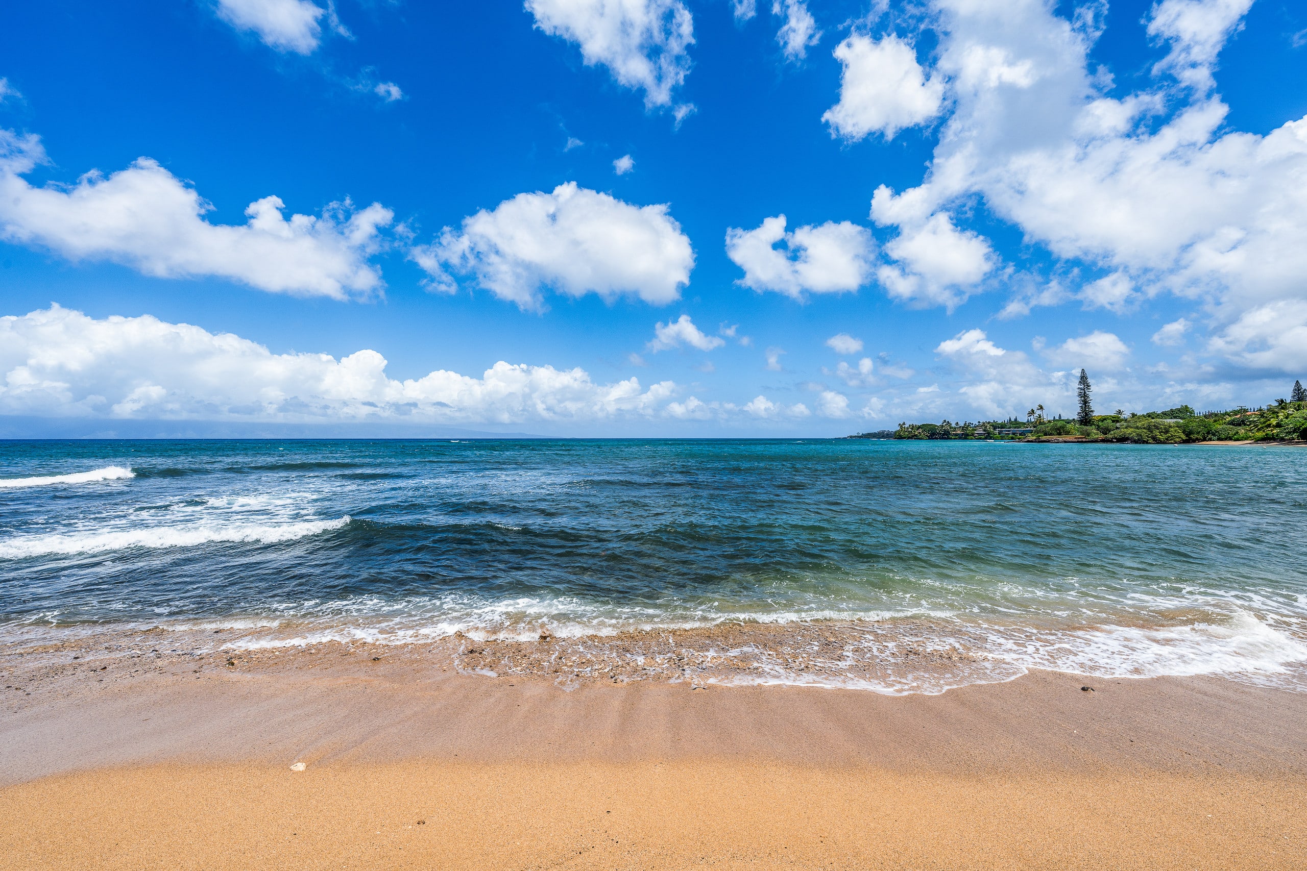 Condo in Lahaina · ★5.0 · 3 bedrooms · 5 beds · 2 baths - Image 50