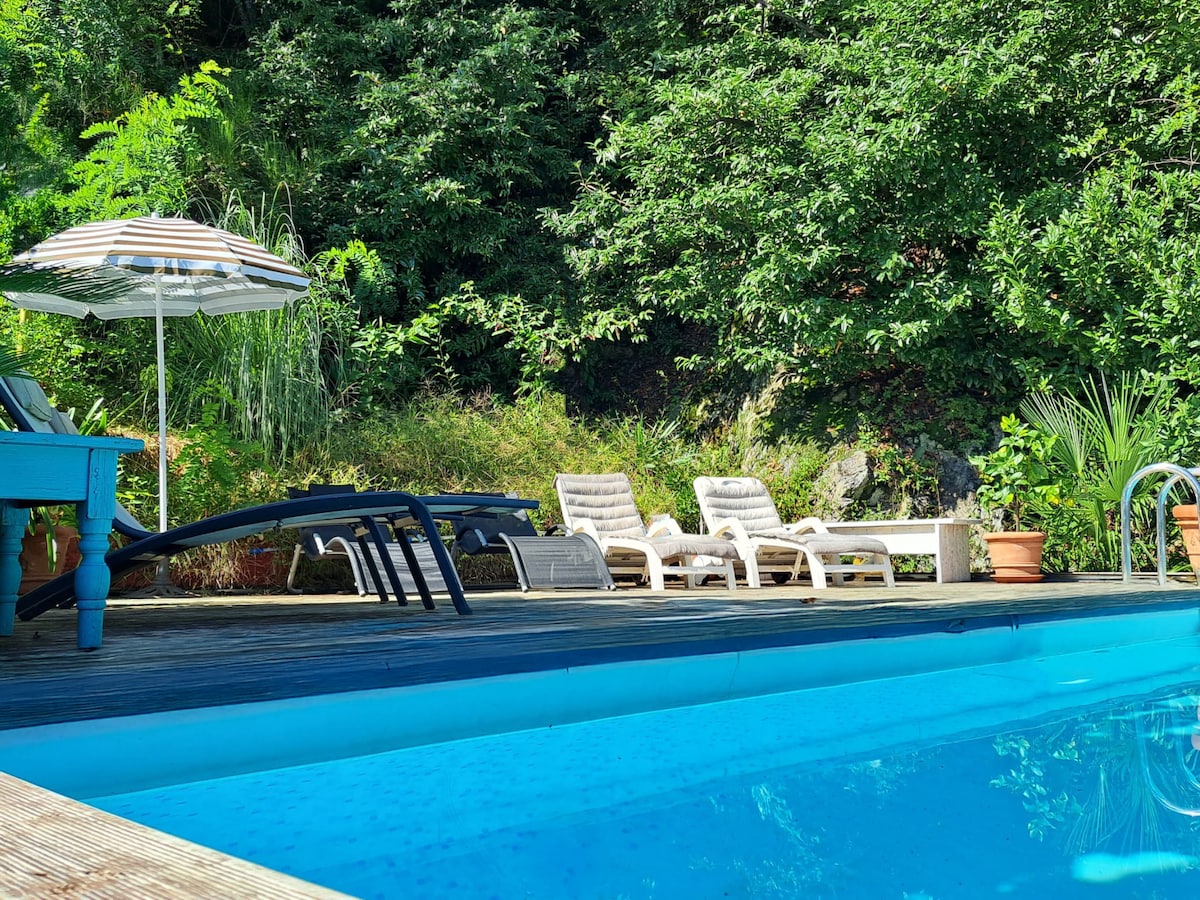 A private swimming pool is surrounded by a wooden deck, featuring several loungers and an umbrella for shade. Lush greenery encloses the area, enhancing the sense of privacy and tranquility. Potted plants are visible, contributing to the serene outdoor setting.