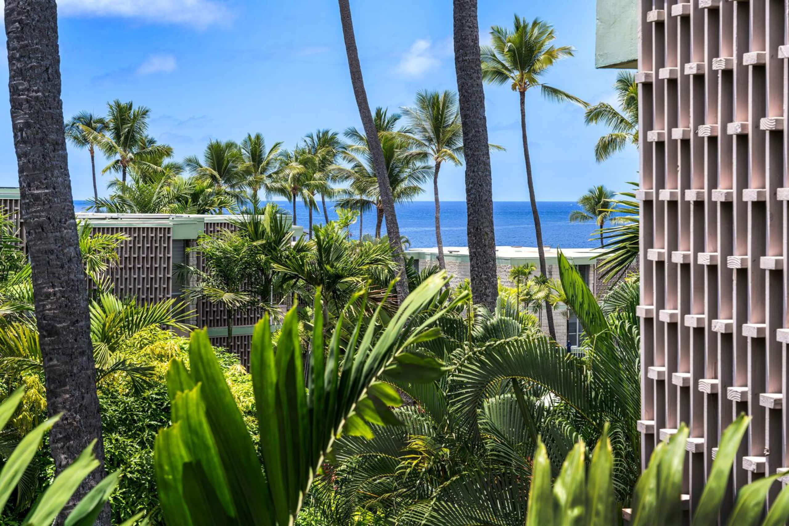 Condo in Kailua-Kona · ★4.88 · 1 bedroom · 2 beds · 1 private bath - Image 2