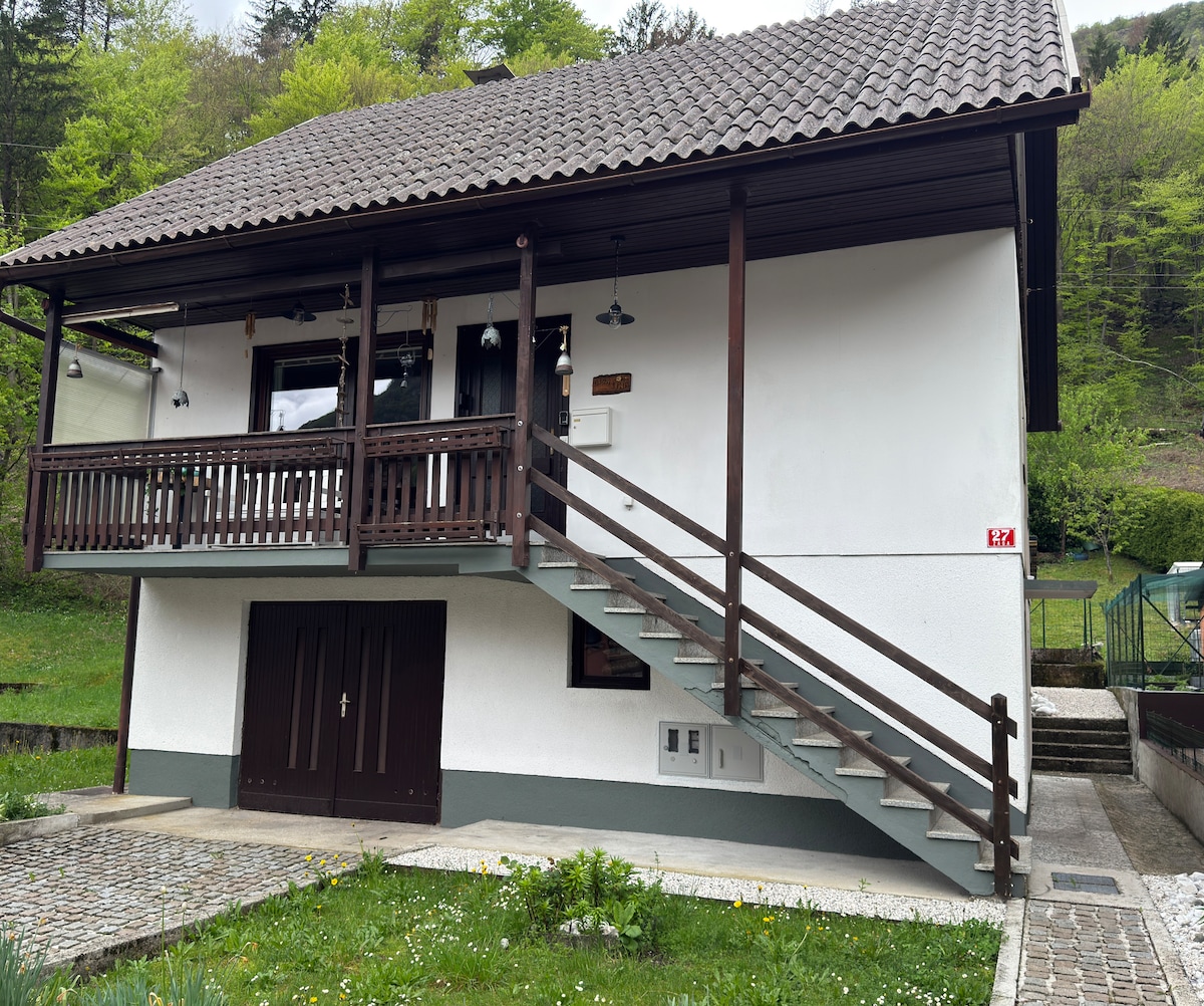 The exterior of the house is characterized by a traditional Alpine style, featuring a sloped roof with dark tiles and a balcony with wooden railings. A stone path leads to the entrance, which is situated above a ground-level garage. Lush greenery surrounds the property.